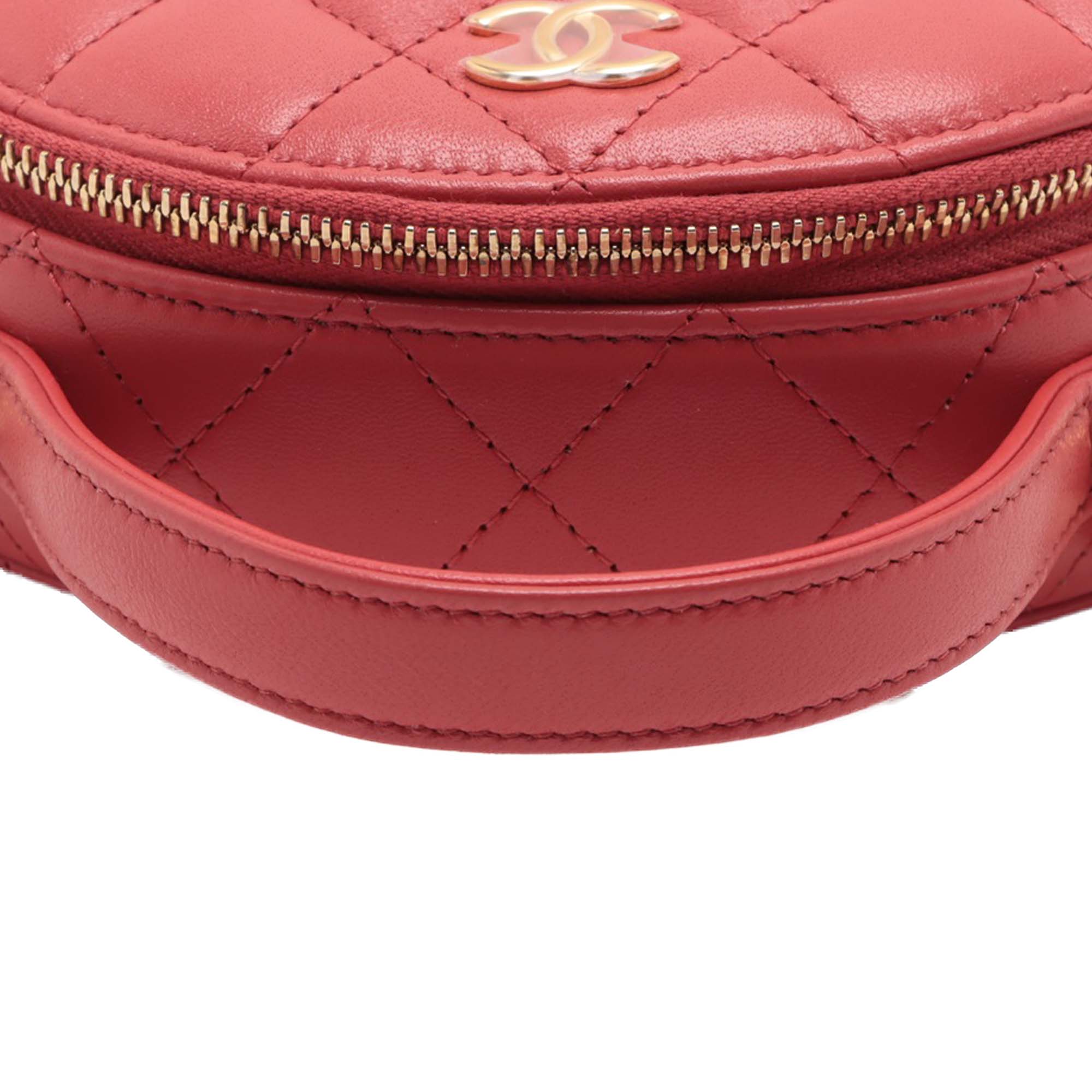 Chanel Quilted Lambskin Chic Riviera Top Handle Vanity Case - image 9