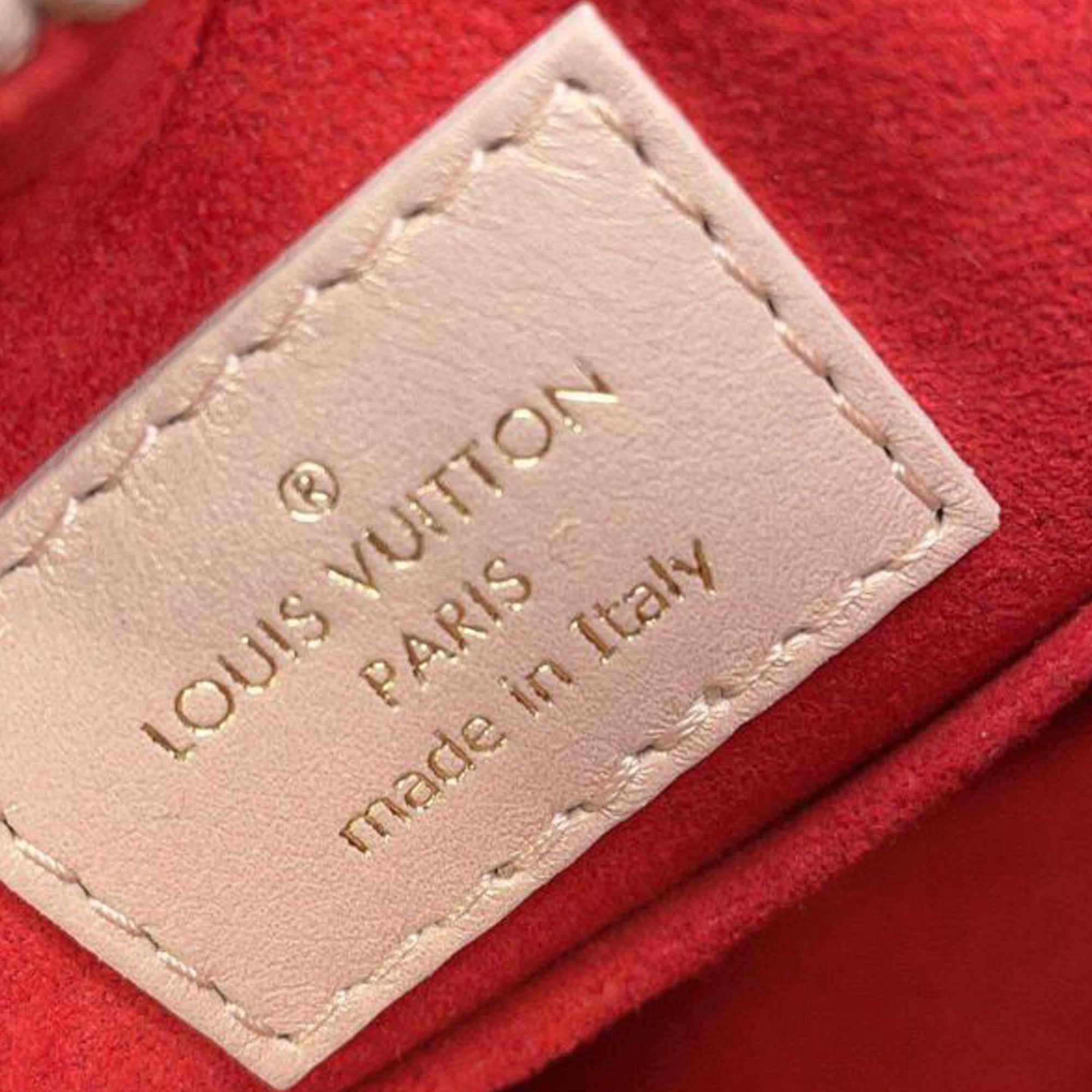 Louis Vuitton Monogram Embossed Lambskin Fall In Love Sac Coeur - image 5