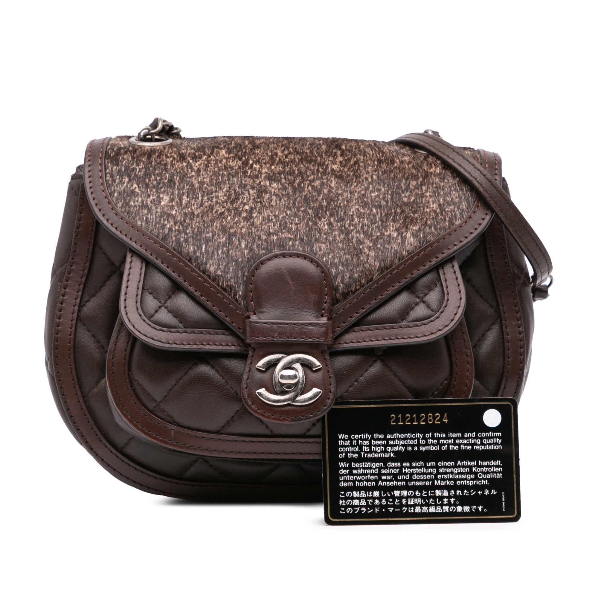 Chanel Paris-Salzburg Quilted Lambskin and Pony Hair Saddle Crossbody - image 15