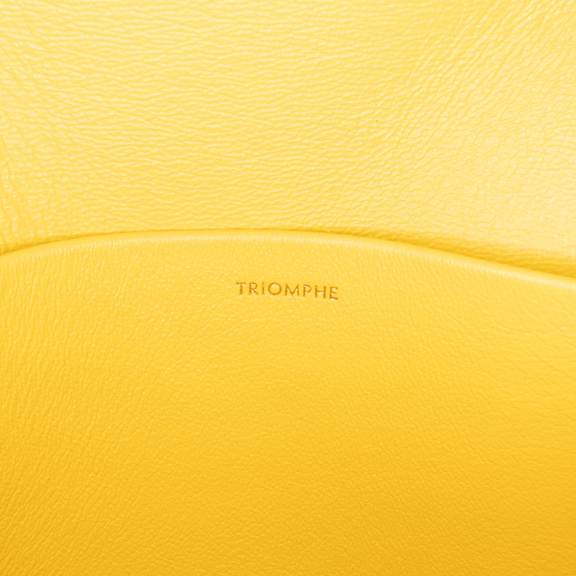 Celine Teen Shiny Calfskin Triomphe Crossbody - image 7