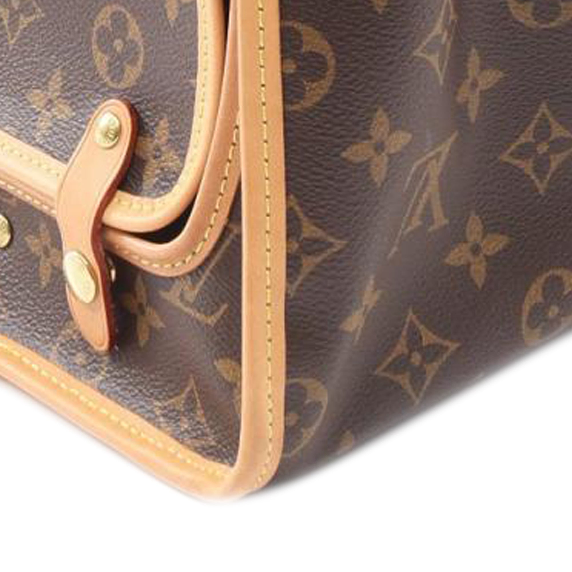 Louis Vuitton Monogram Sac Chien Pet Carrier 50 - image 10