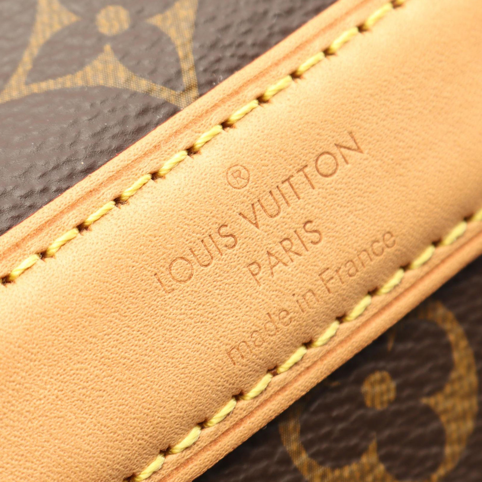 Louis Vuitton Monogram Sac Chien Pet Carrier 50 - image 4