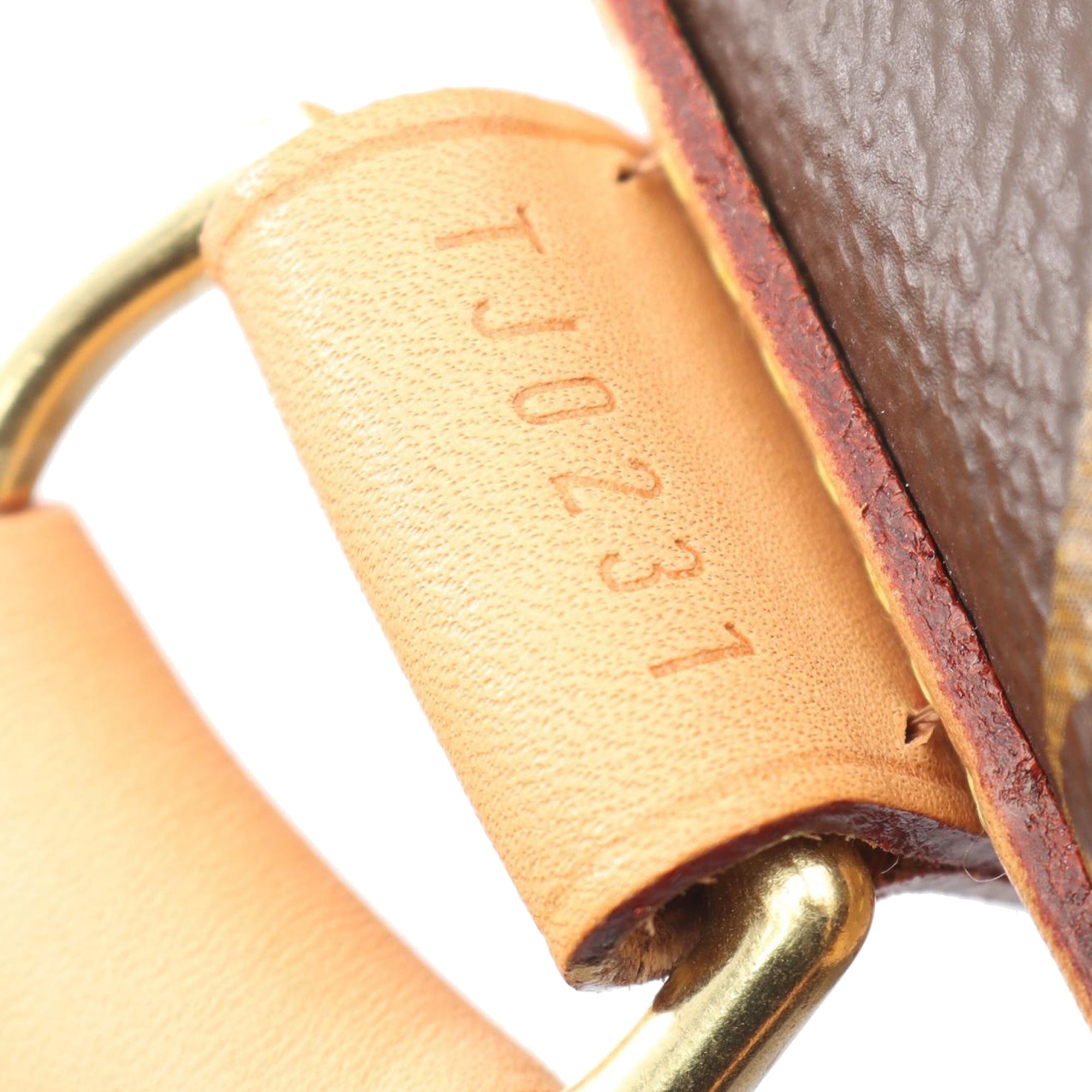 Louis Vuitton Monogram Sac Chien Pet Carrier 50 - image 5