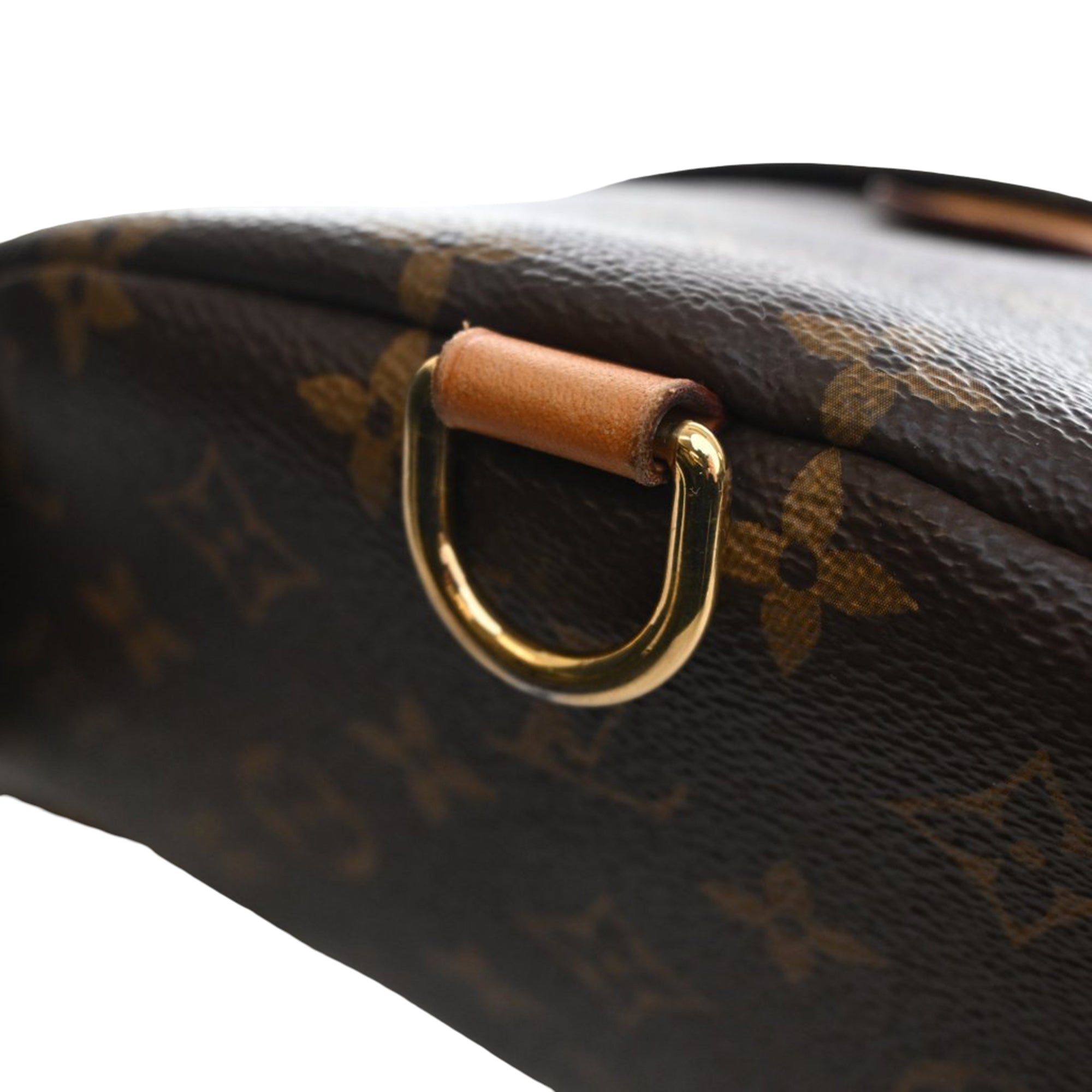 Louis Vuitton Monogram Bumbag - image 10