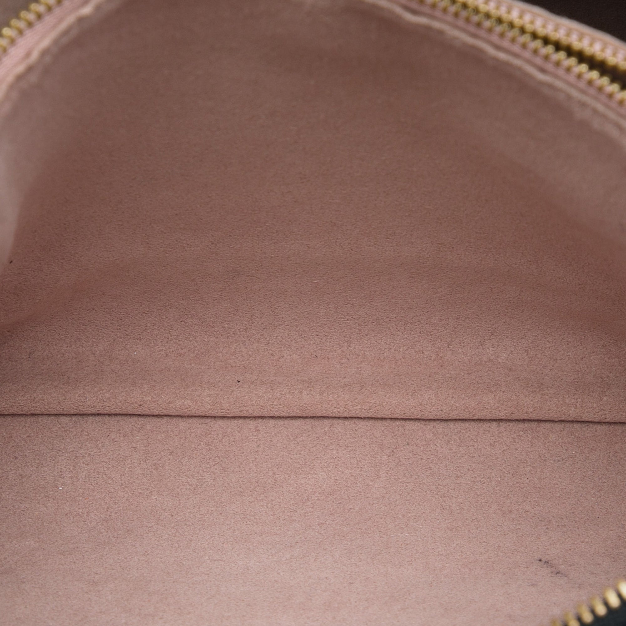 Louis Vuitton Monogram Embossed Puffy Lambskin Coussin PM - image 4