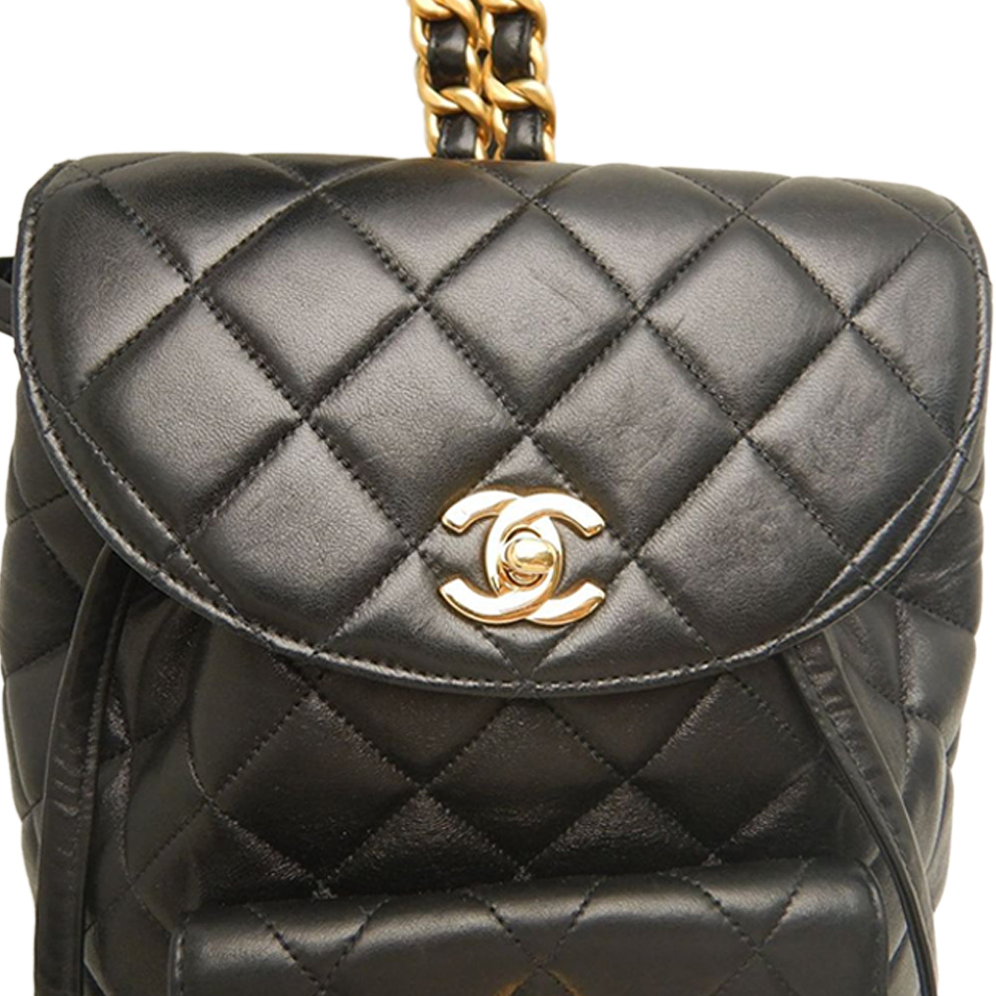 Chanel Medium Quilted Lambskin Duma Backpack - image 10