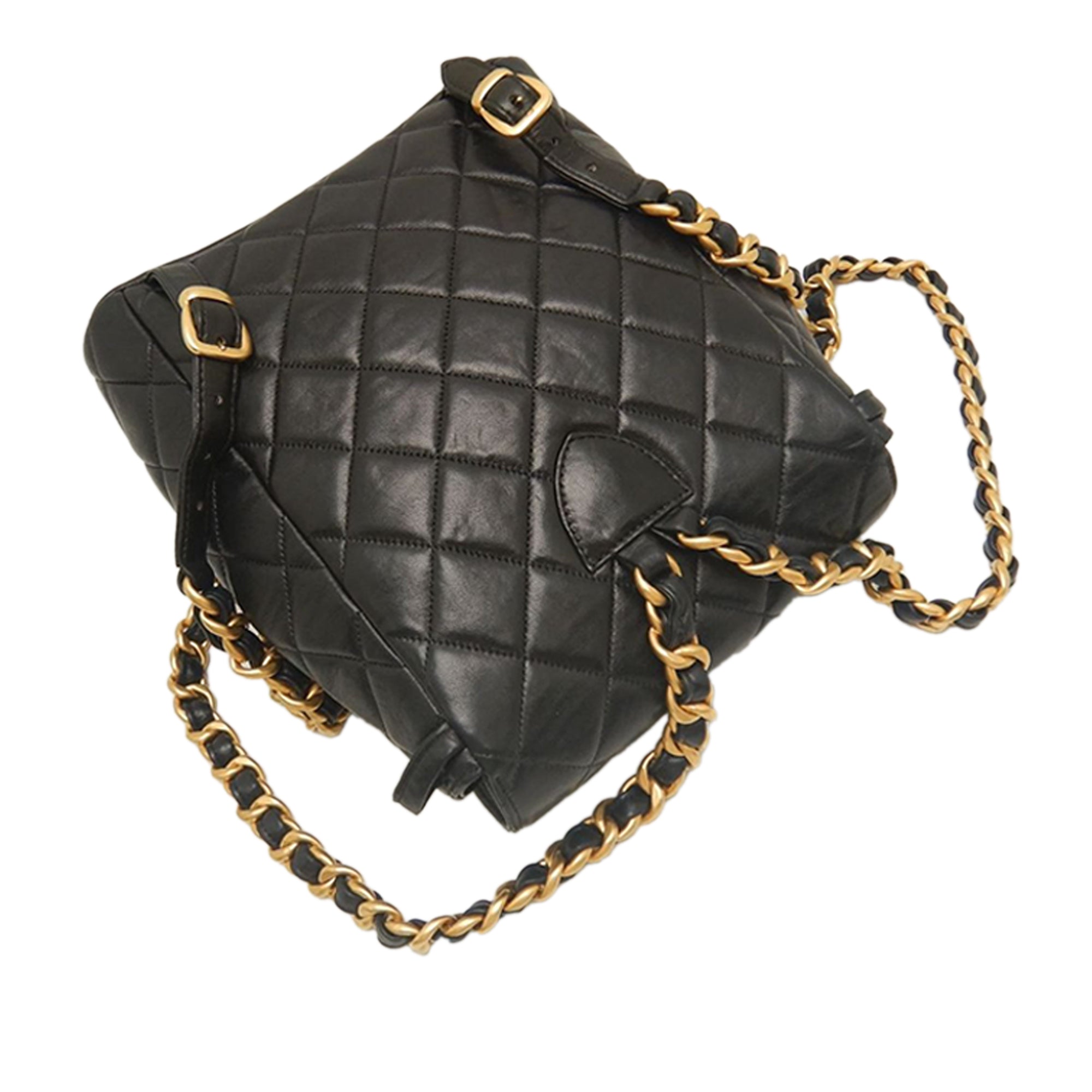 Chanel Medium Quilted Lambskin Duma Backpack - image 14