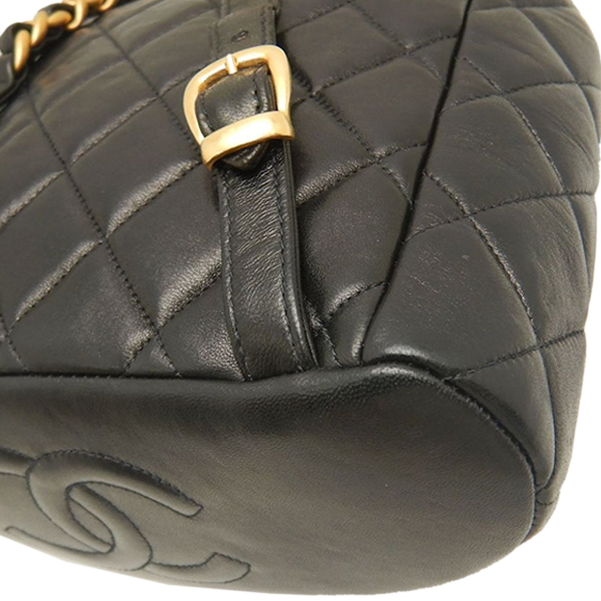 Chanel Medium Quilted Lambskin Duma Backpack - image 15