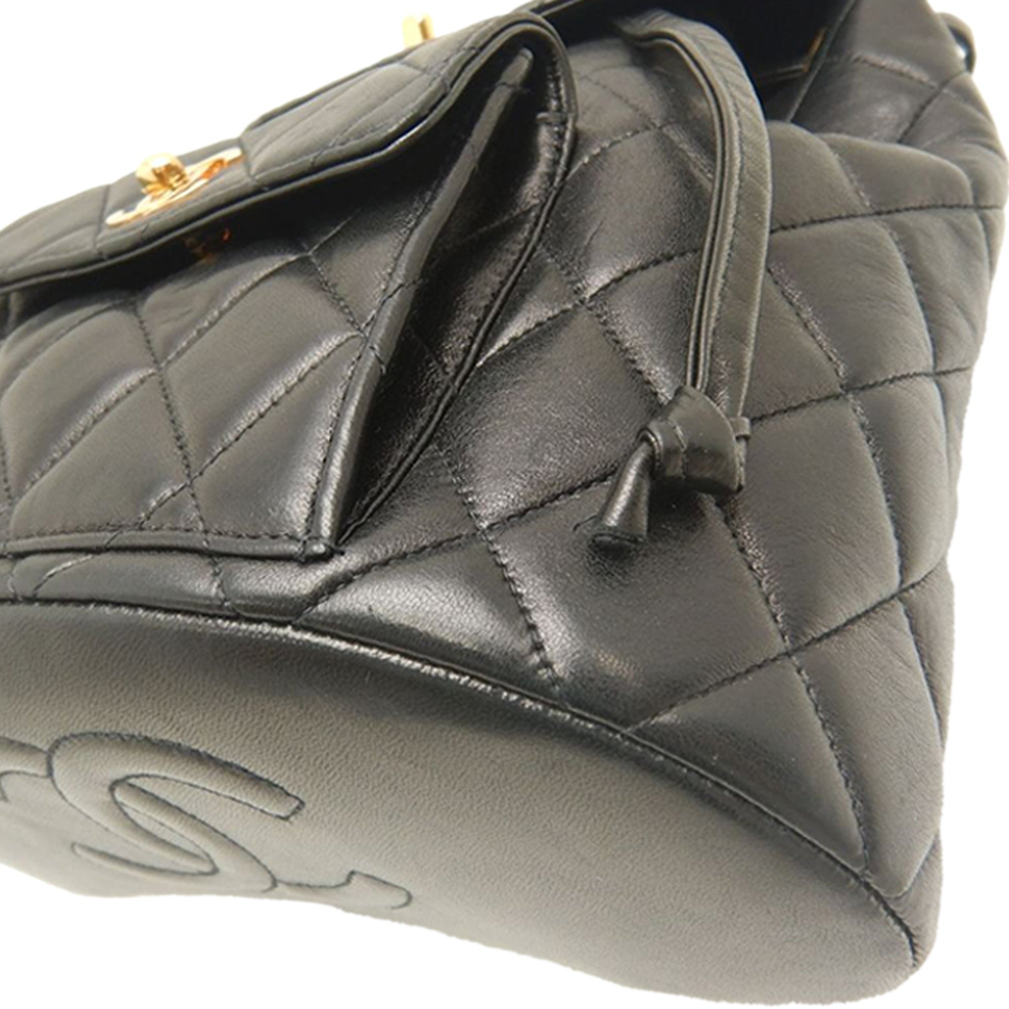 Chanel Medium Quilted Lambskin Duma Backpack - image 16