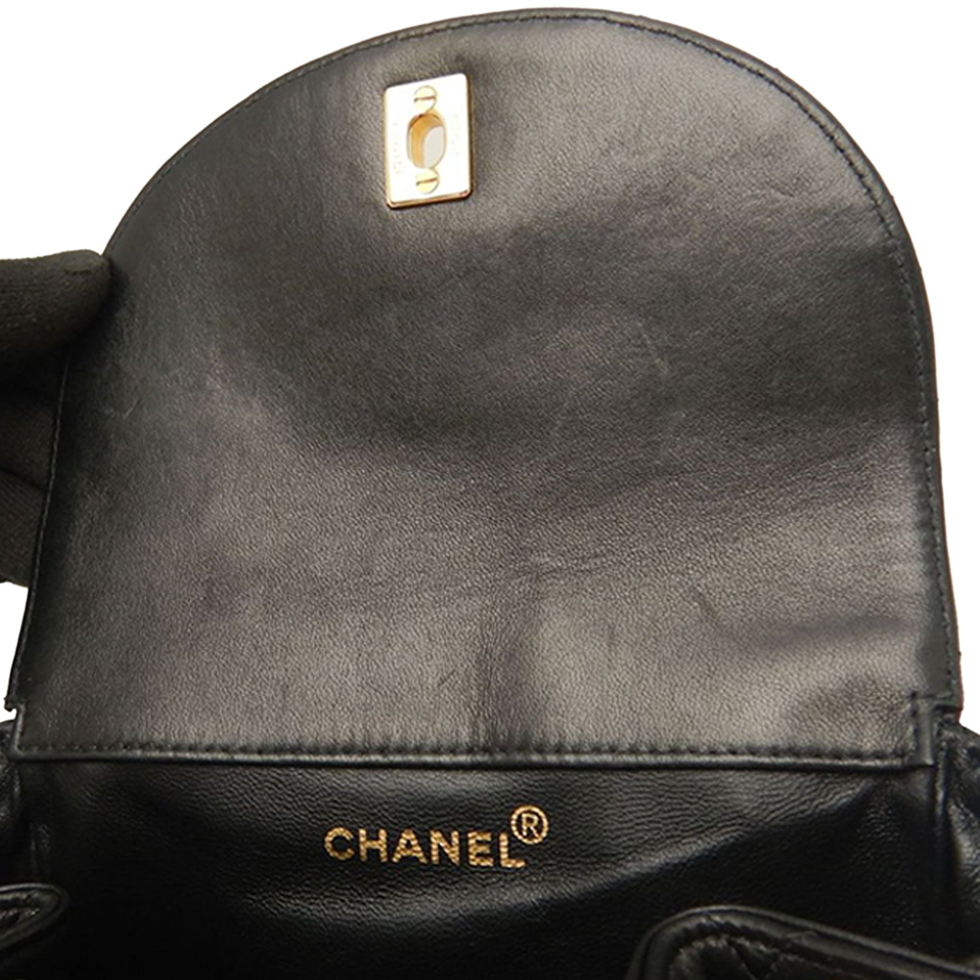 Chanel Medium Quilted Lambskin Duma Backpack - image 18