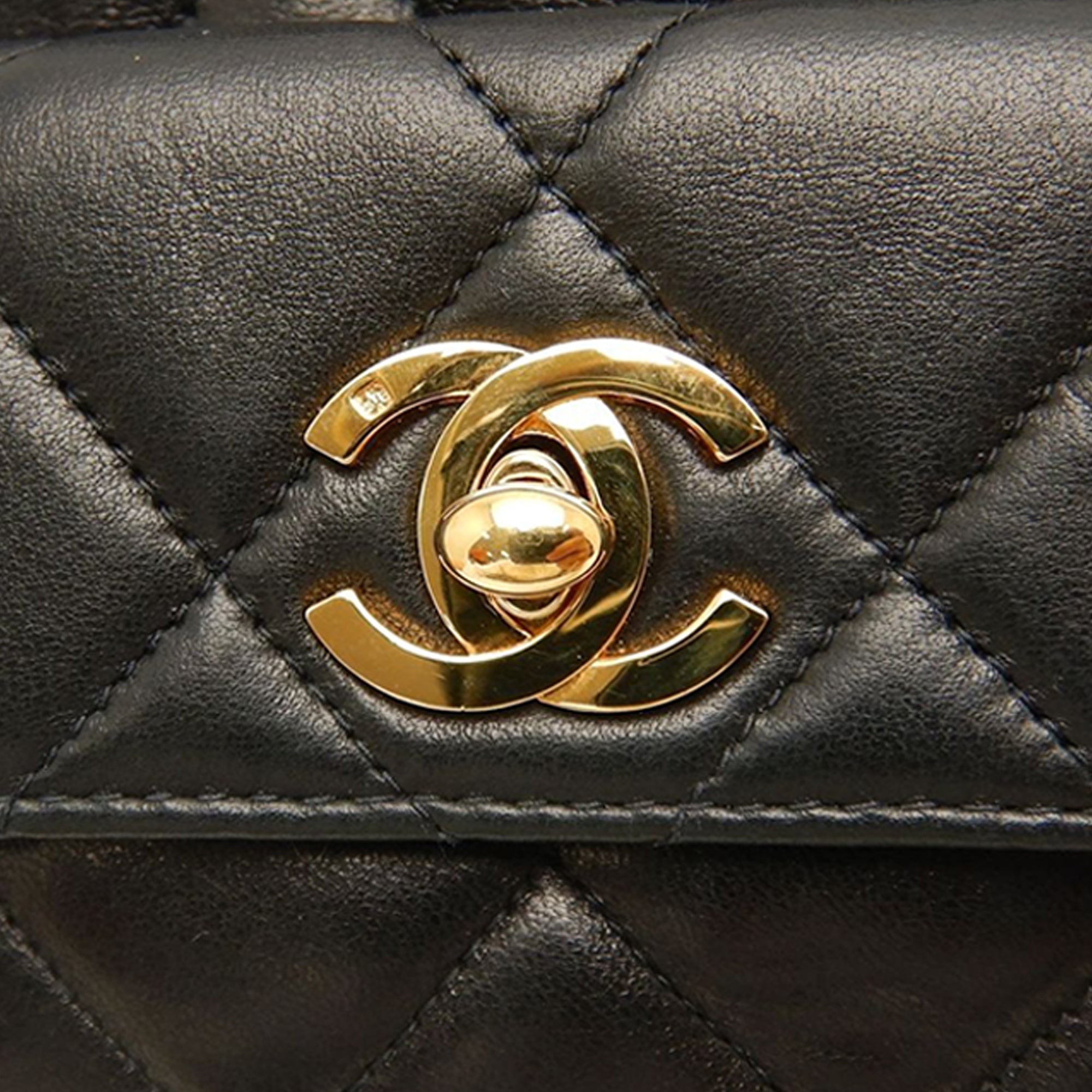 Chanel Medium Quilted Lambskin Duma Backpack - image 7