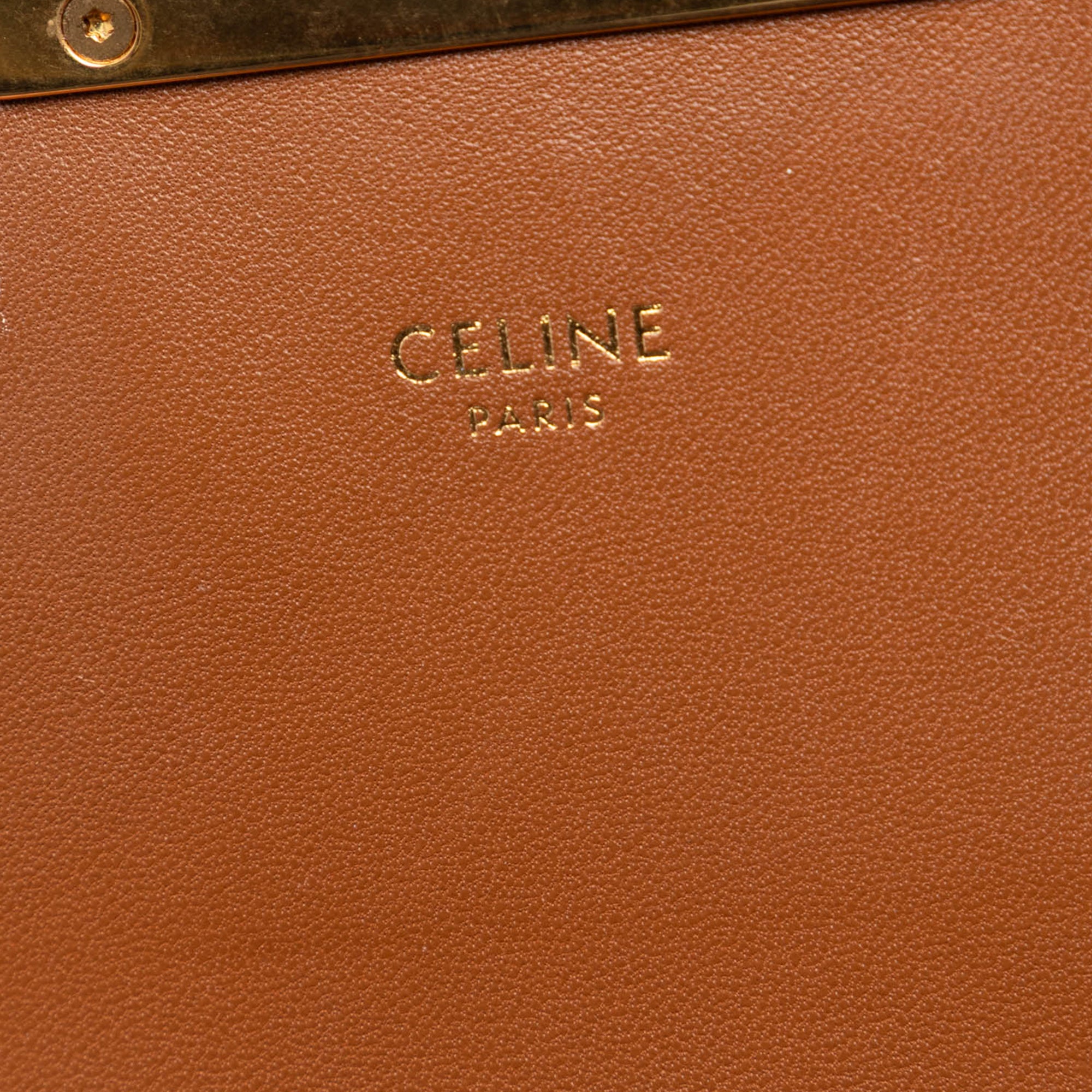 Celine Teen Canvas and Calfskin Triomphe Crossbody - image 5