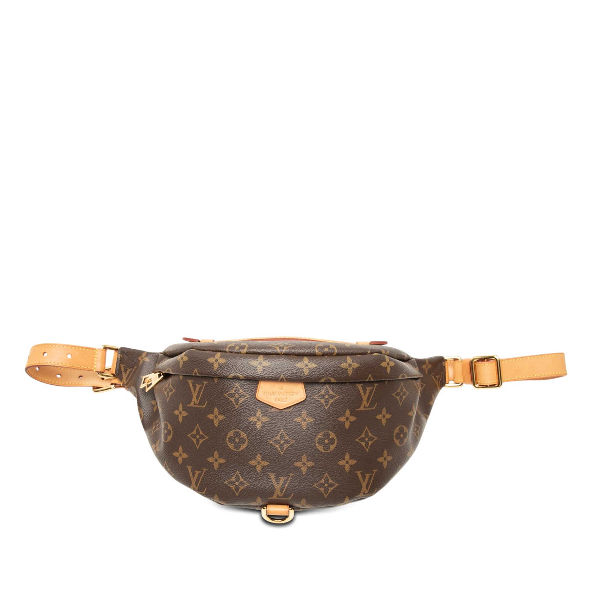 Louis Vuitton Monogram Bumbag - image 1