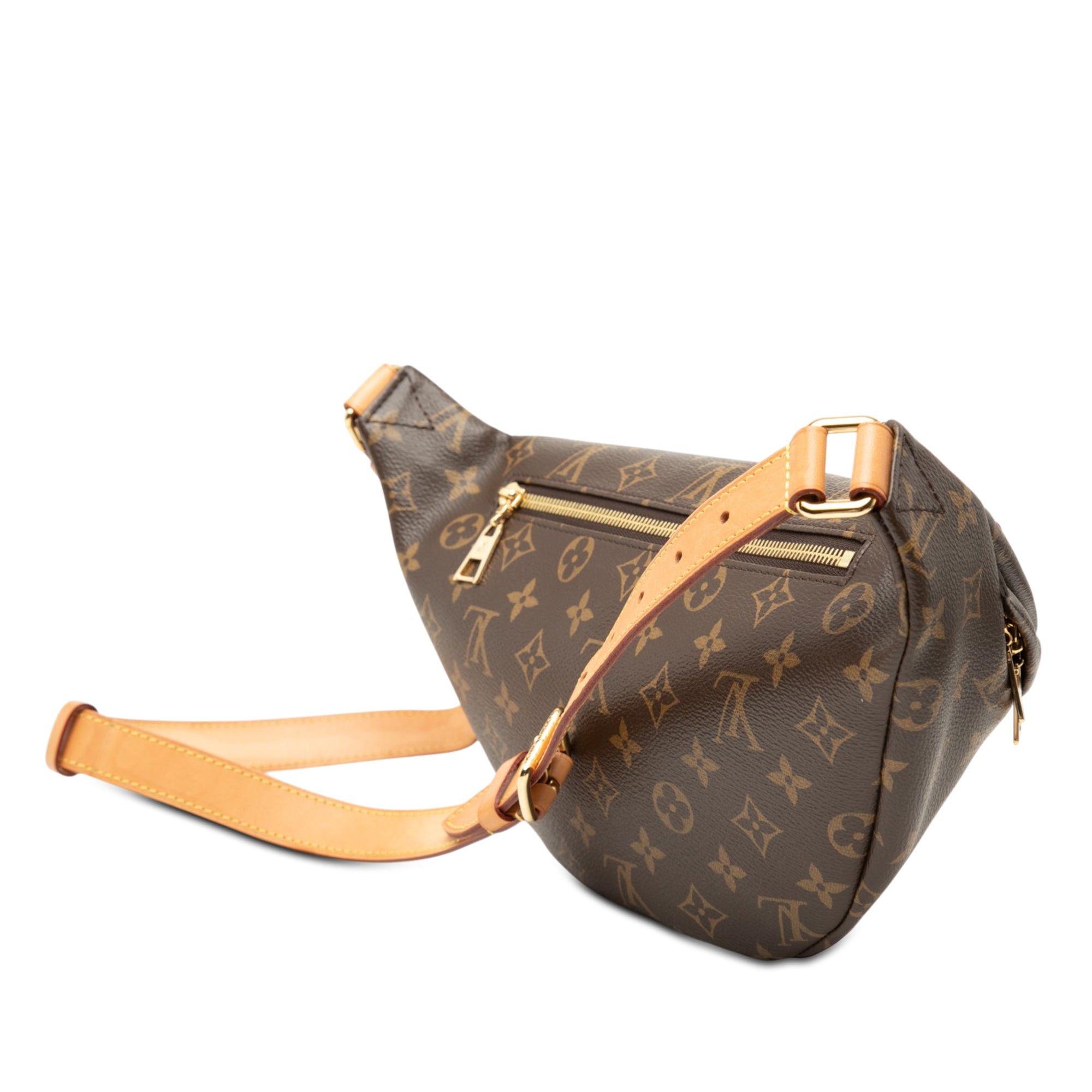 Louis Vuitton Monogram Bumbag - image 2