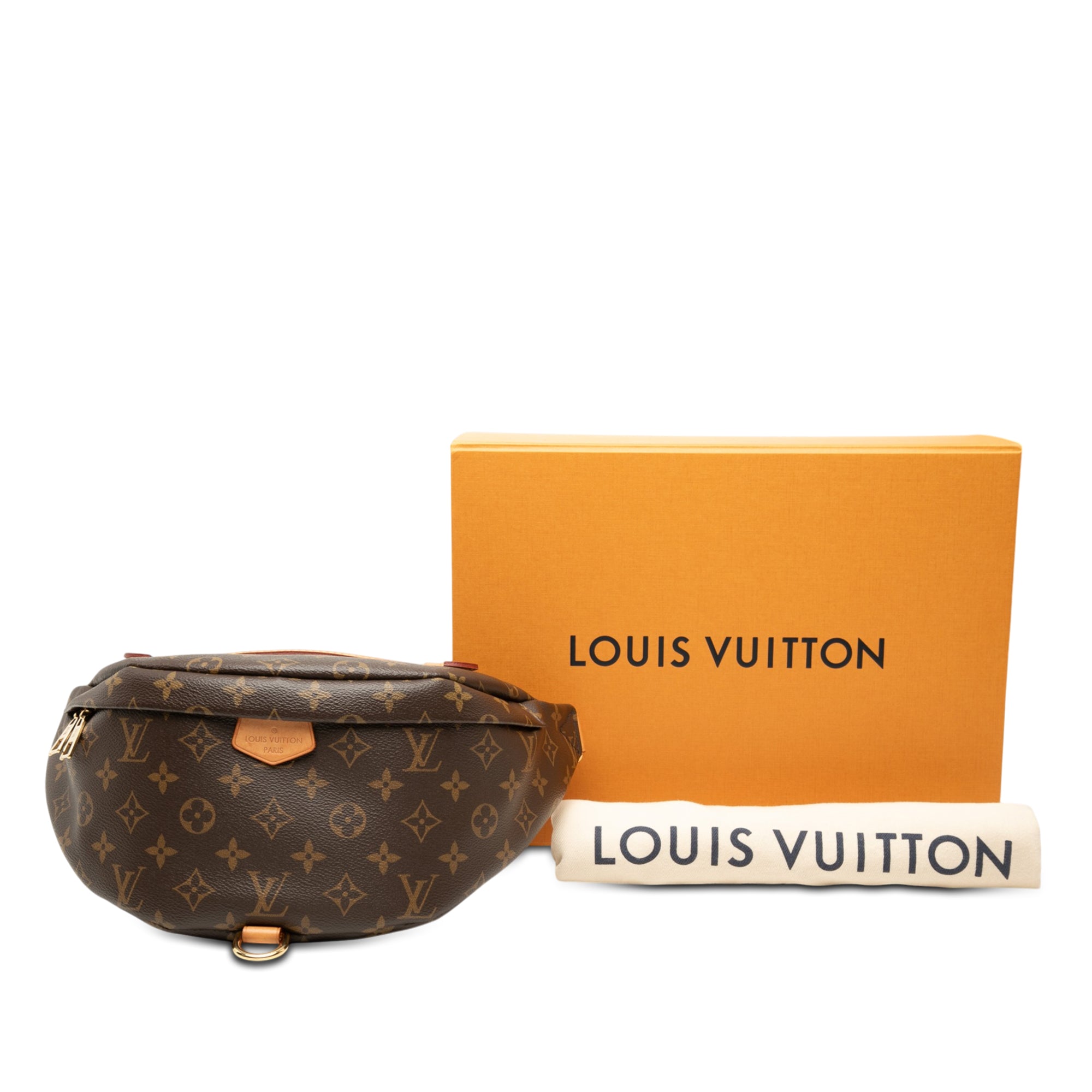 Louis Vuitton Monogram Bumbag - image 7