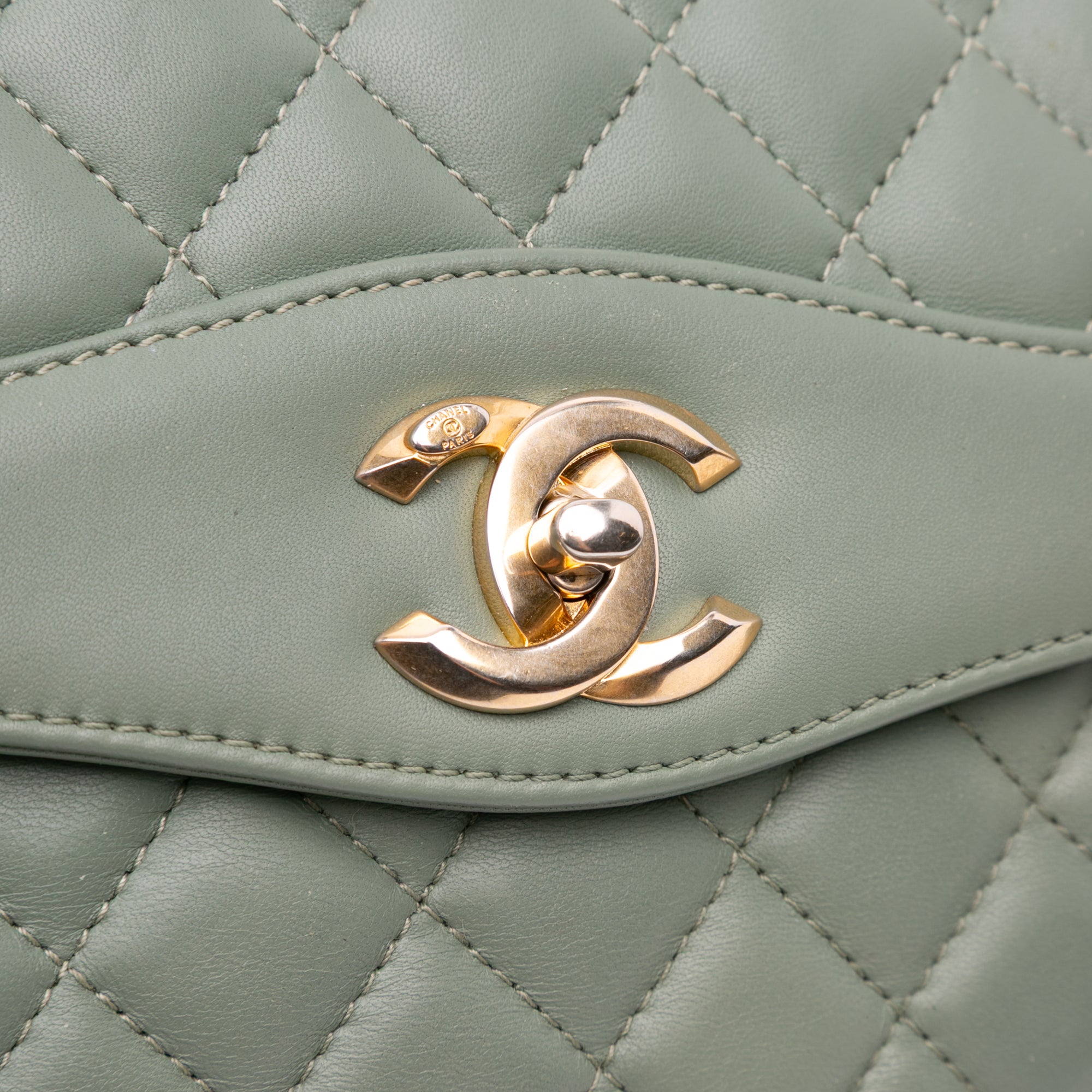 Chanel Large Quilted Lambskin Daily Companion Flap - image 10