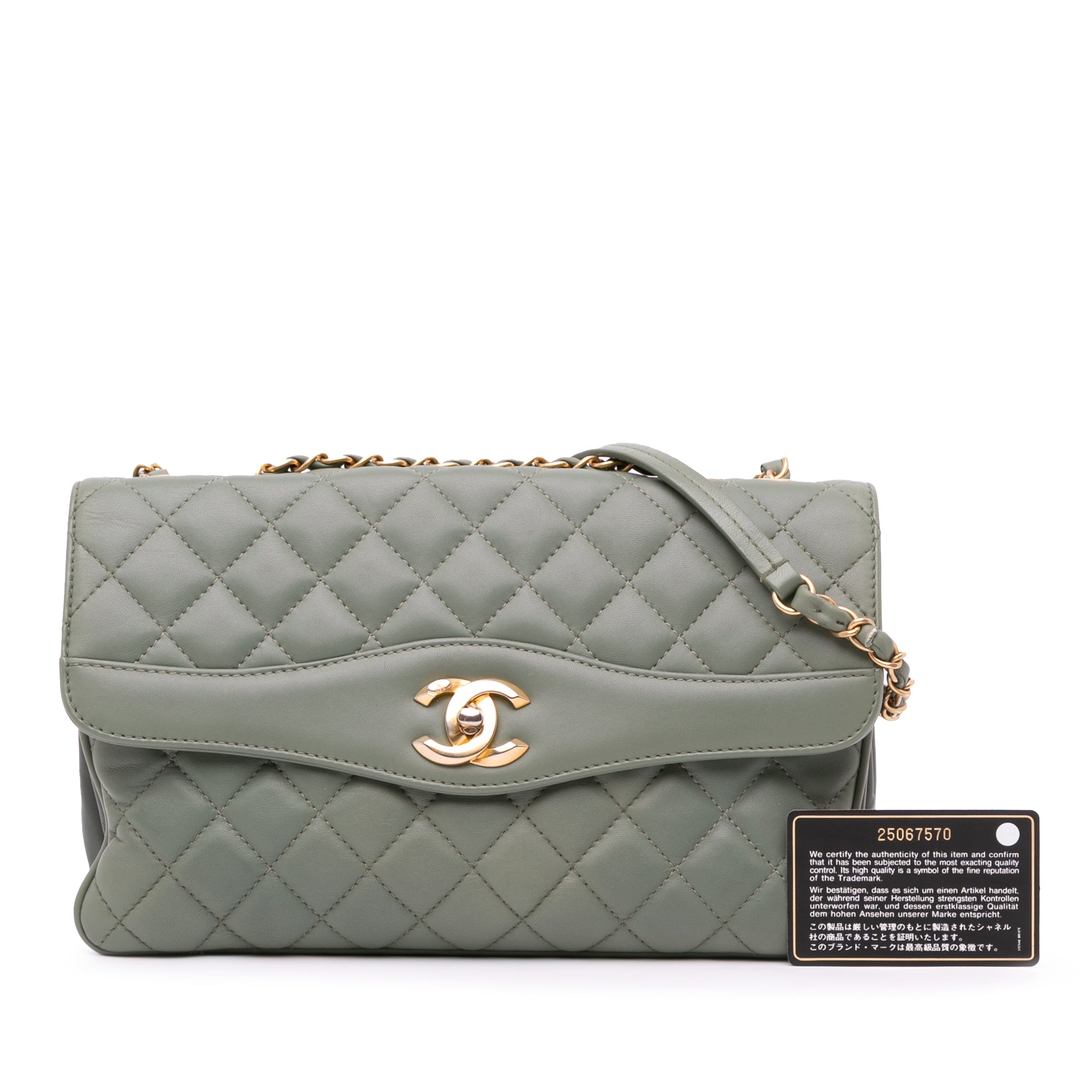 Chanel Large Quilted Lambskin Daily Companion Flap - image 17