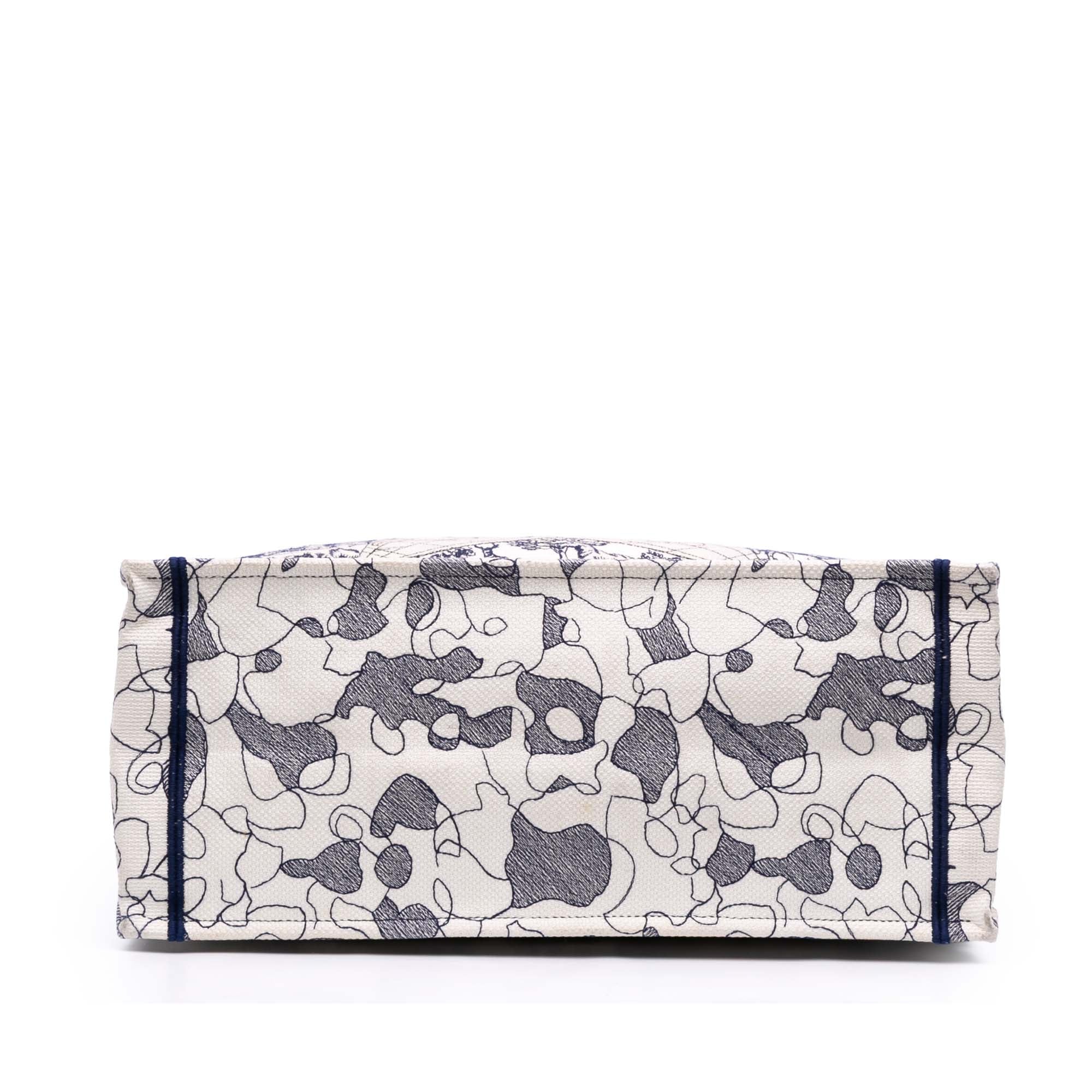 Dior Large Canvas Embroidered Around The World Book Tote - image 3