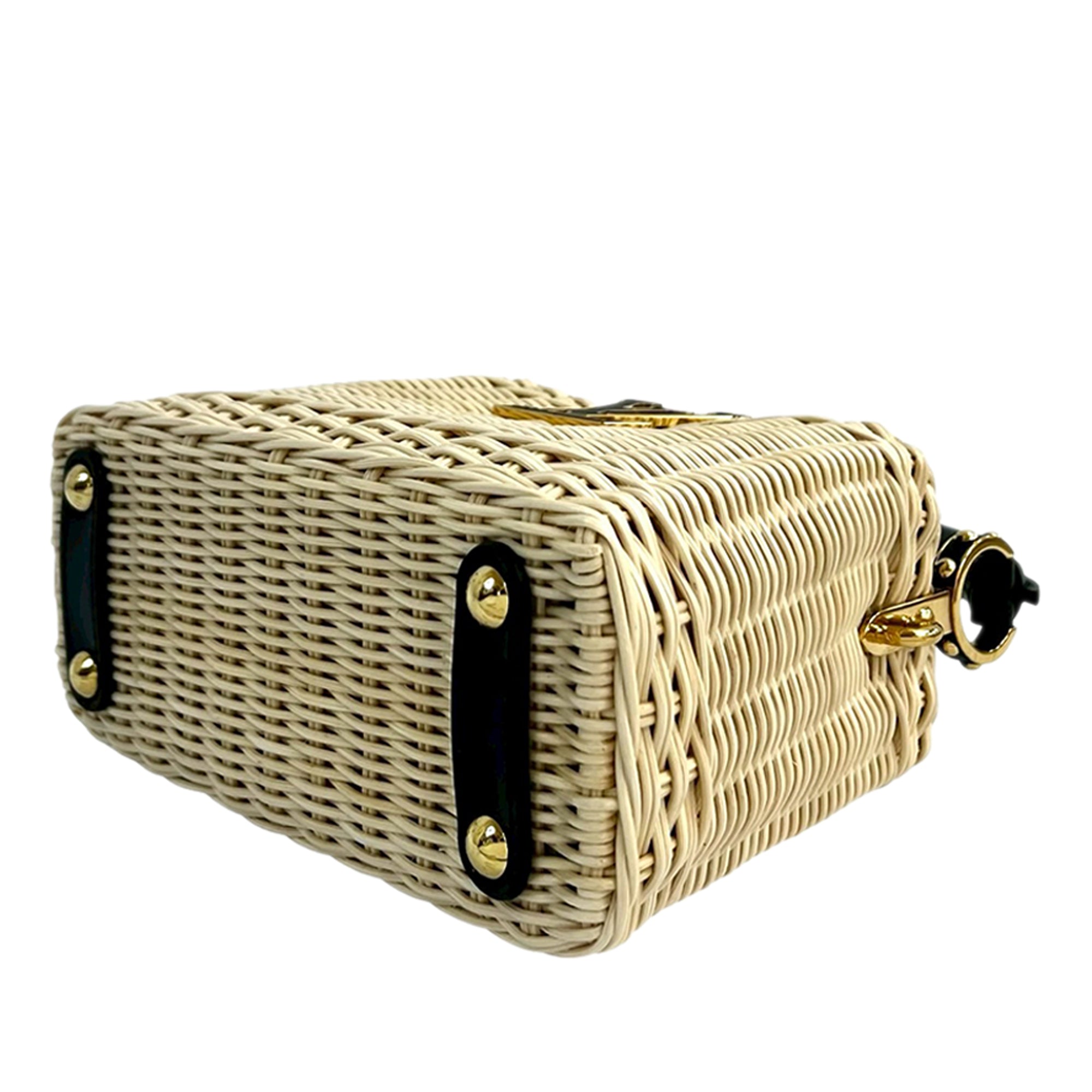 Louis Vuitton Mini Rattan and Smooth Calfskin Capucines - image 4