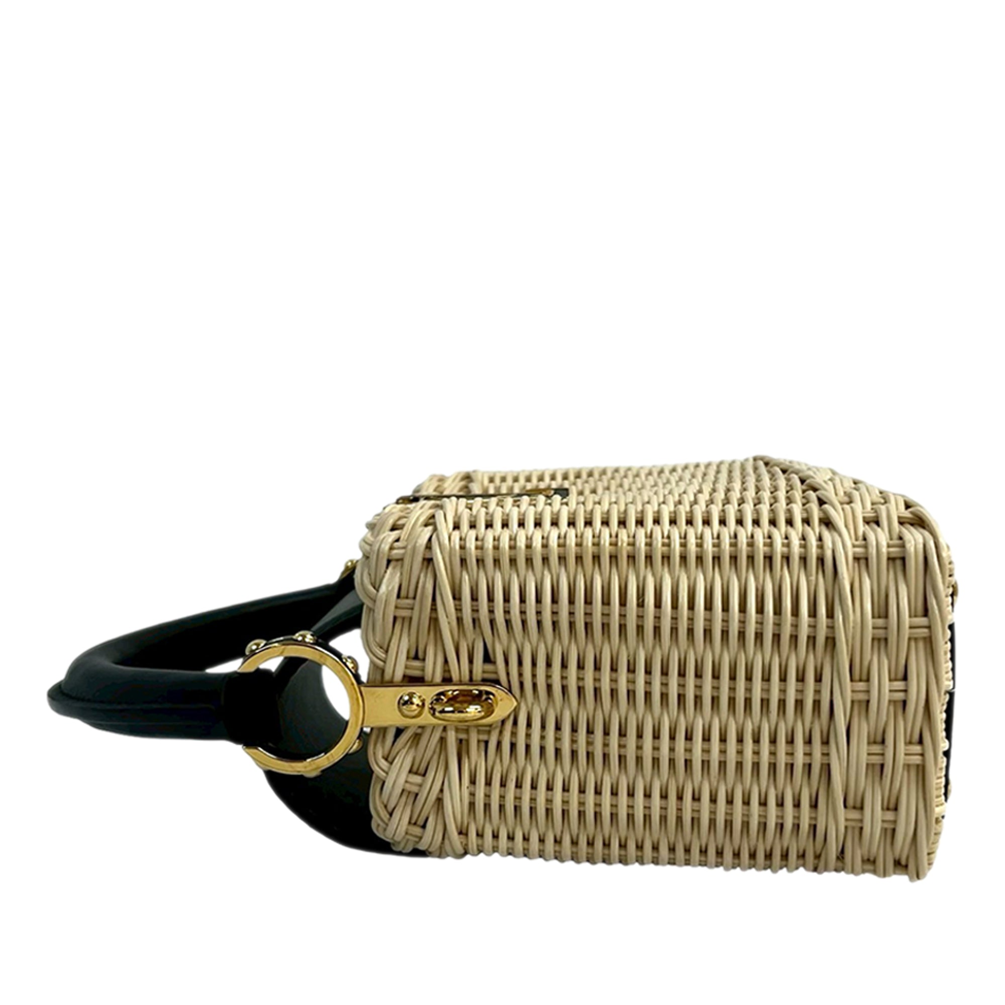 Louis Vuitton Mini Rattan and Smooth Calfskin Capucines - image 5