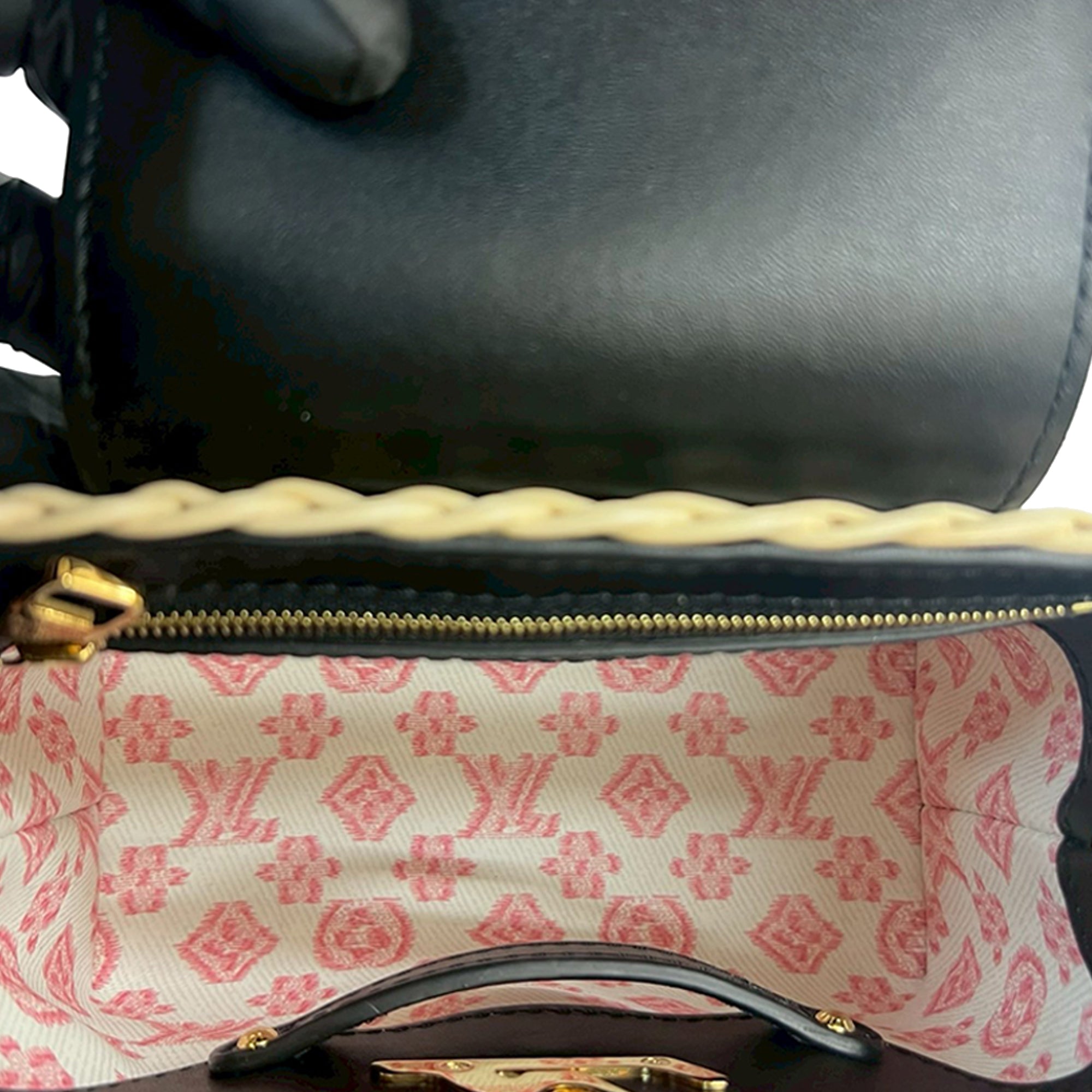Louis Vuitton Mini Rattan and Smooth Calfskin Capucines - image 7