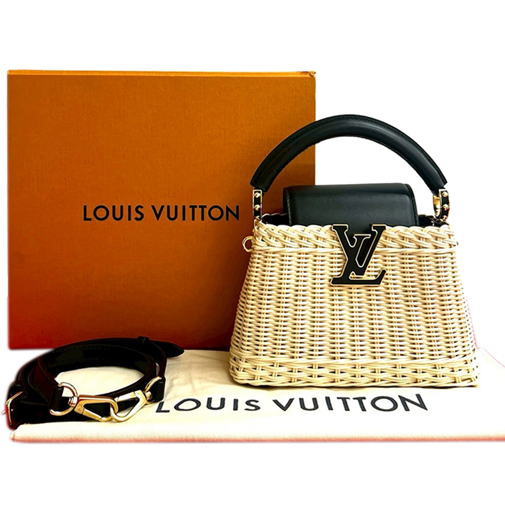 Louis Vuitton Mini Rattan and Smooth Calfskin Capucines - image 9