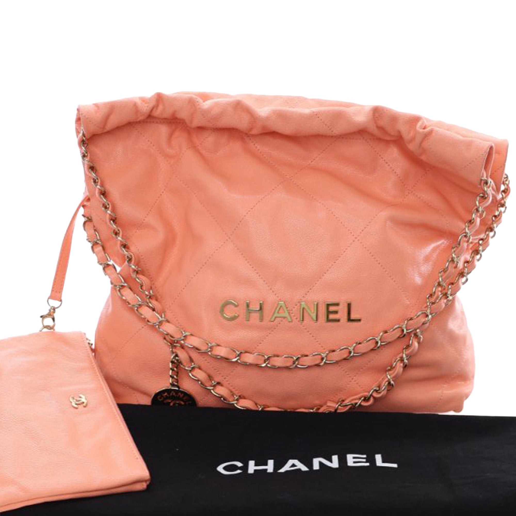 Chanel Small Quilted Caviar 22 Handbag - image 15