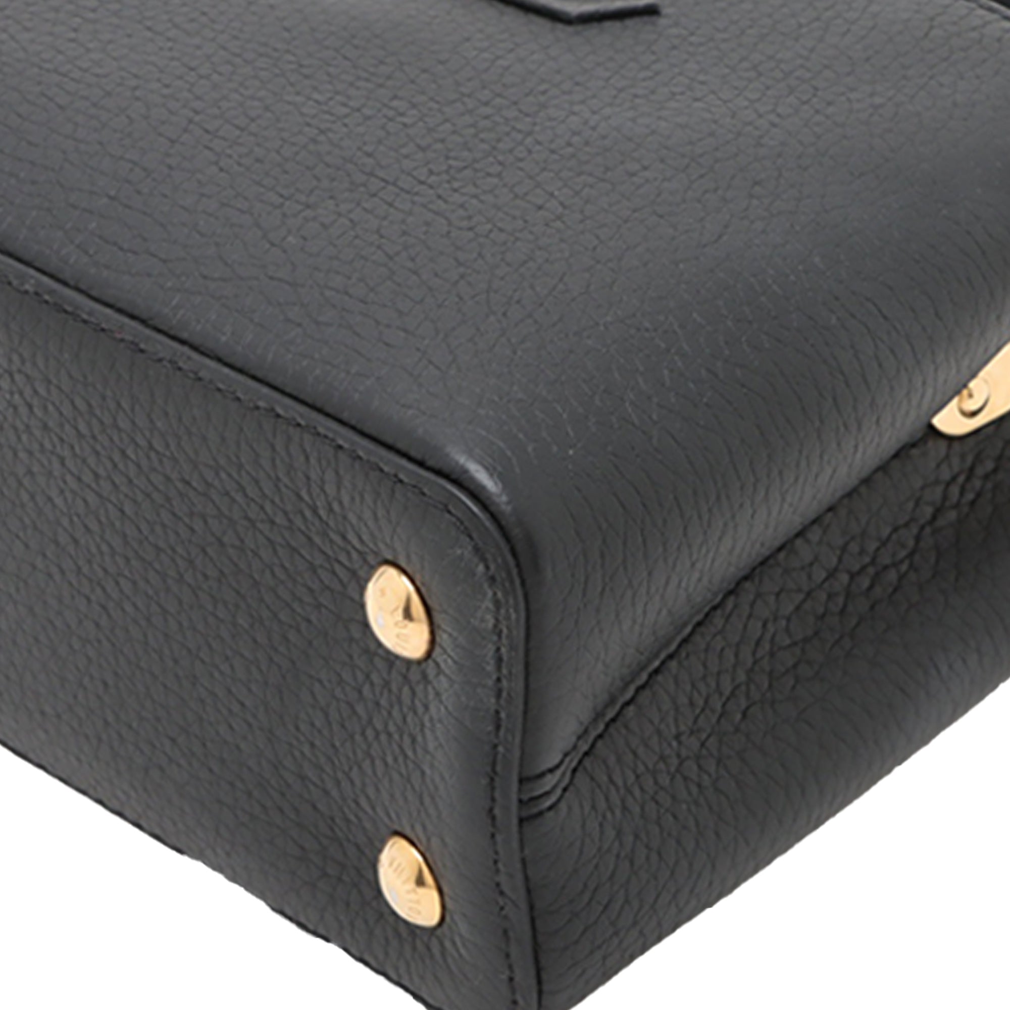 Louis Vuitton Taurillon Mini Capucines - image 8