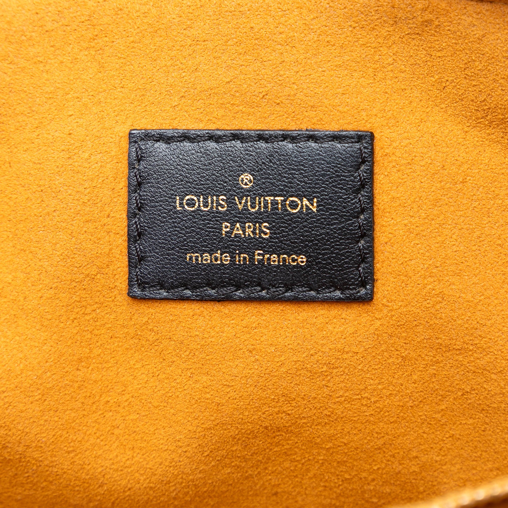 Louis Vuitton Monogram Embossed Puffy Lambskin Coussin MM - image 5