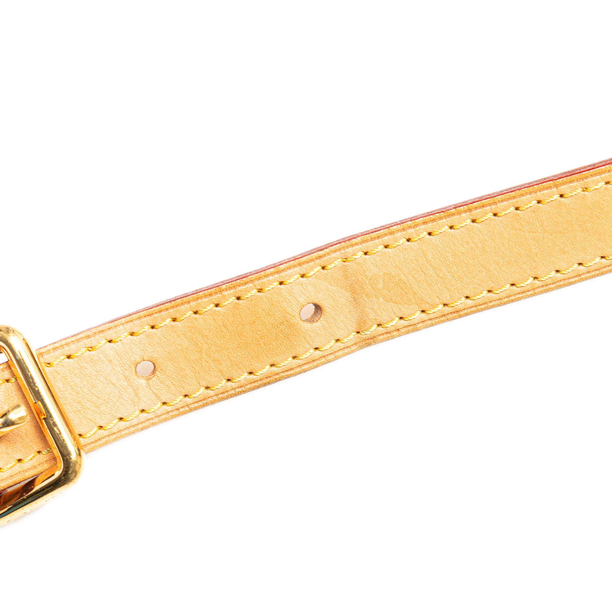 Louis Vuitton Monogram Multicolore Courtney MM - image 13