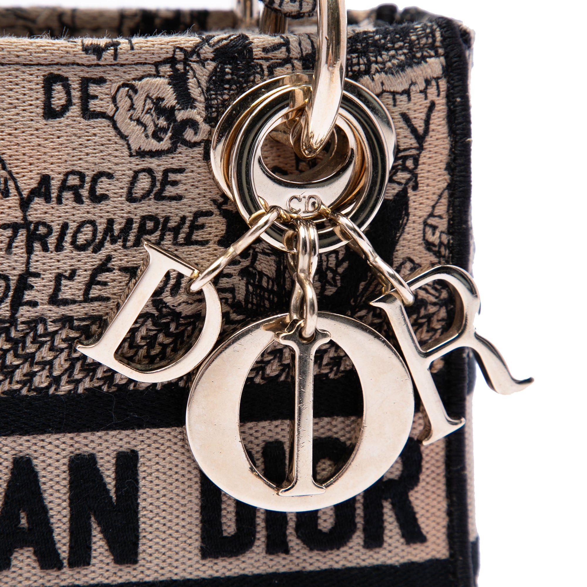 Dior Mini Embroidered Canvas Plan de Paris Lady D Lite - image 5