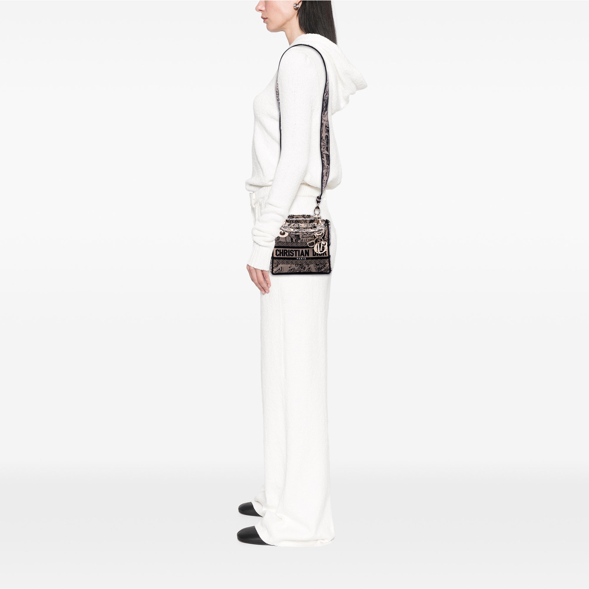 Dior Mini Embroidered Canvas Plan de Paris Lady D Lite - image 6
