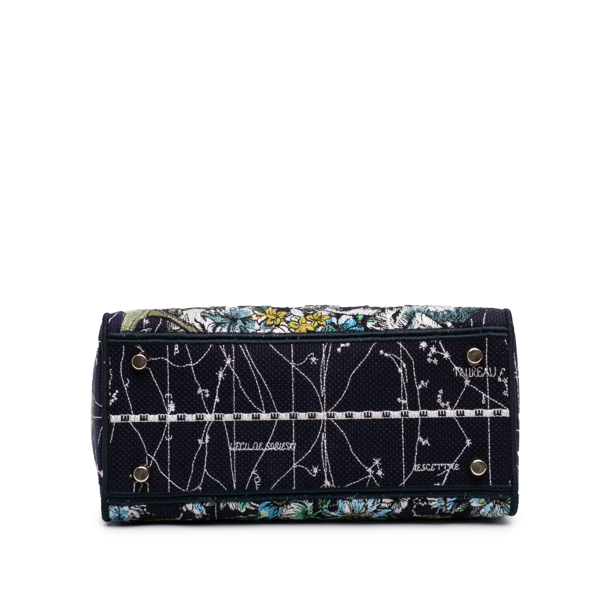 Dior Medium Embroidered Canvas Zodiac Lady D Lite - image 3