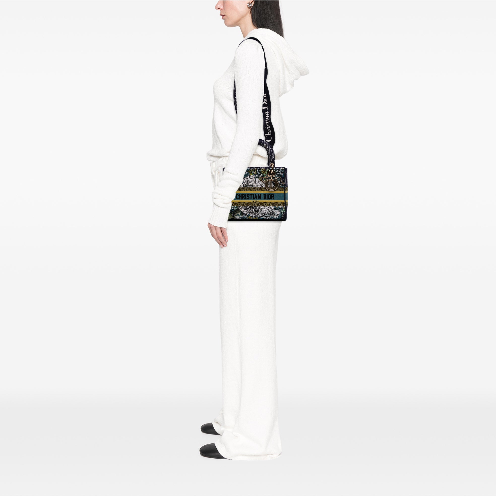 Dior Medium Embroidered Canvas Zodiac Lady D Lite - image 6
