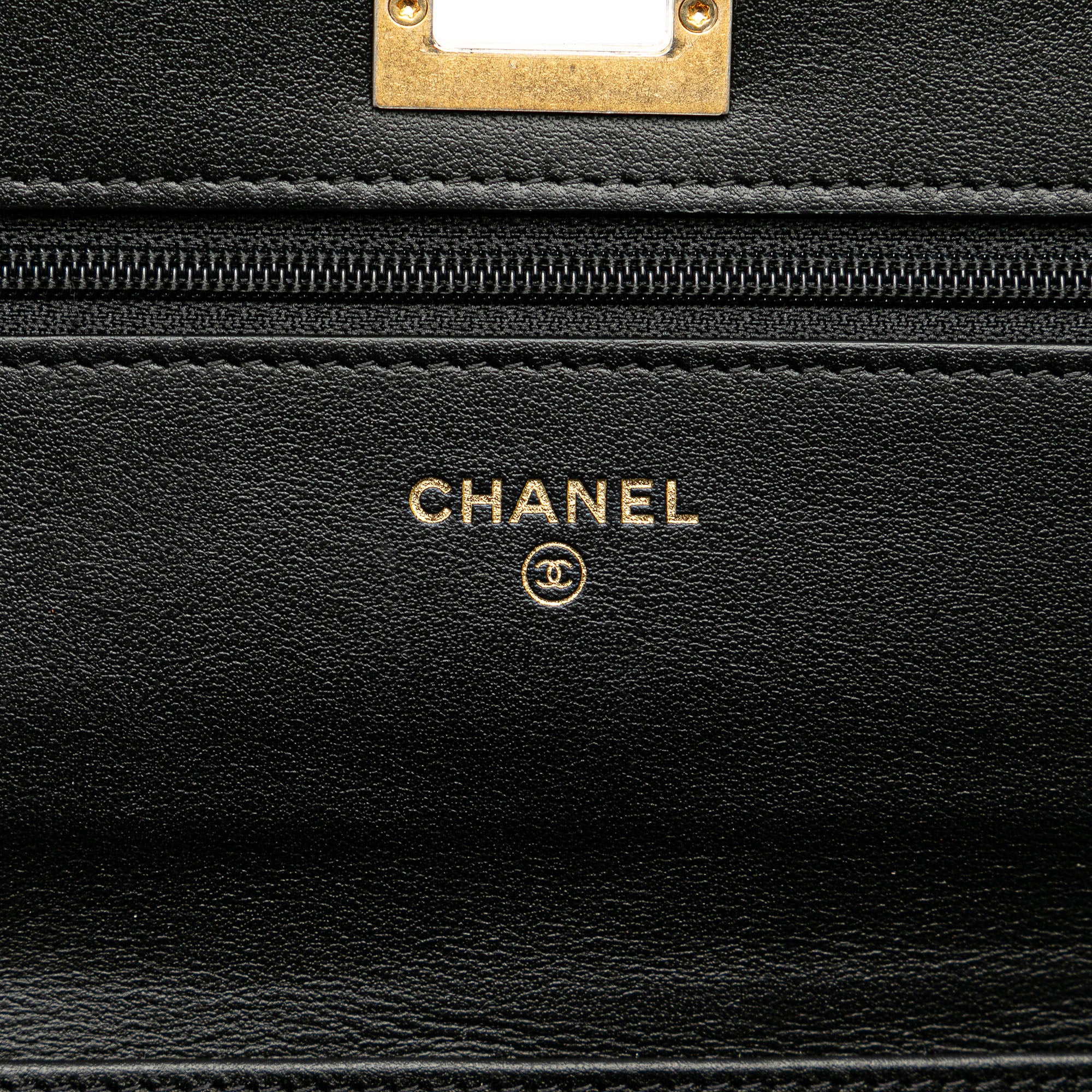 Chanel Calfskin Crocodile Embossed Graffiti 2.55 Cocodile Reissue Wallet On Chain - image 6