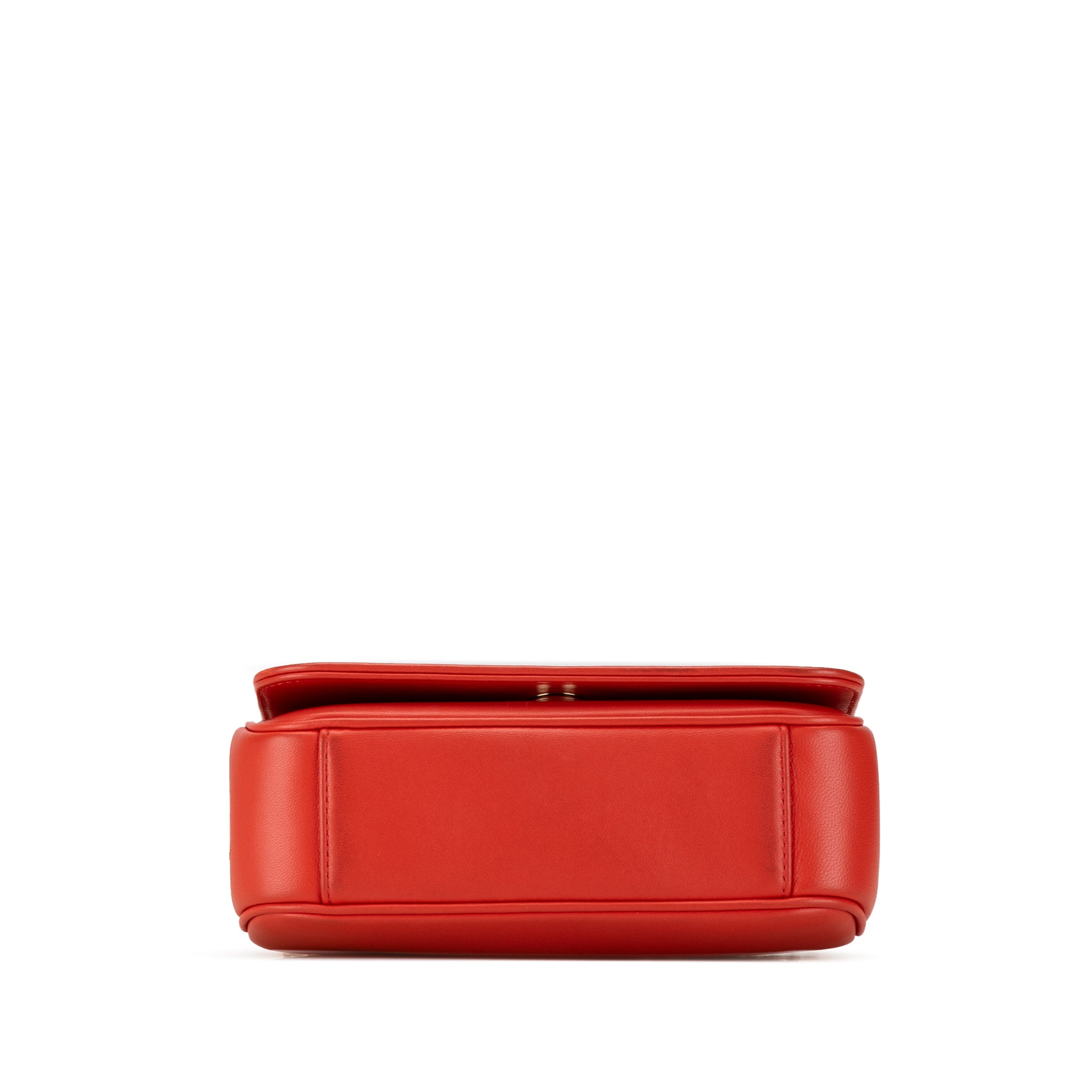Chanel Lambskin CC Mania Flap - image 4