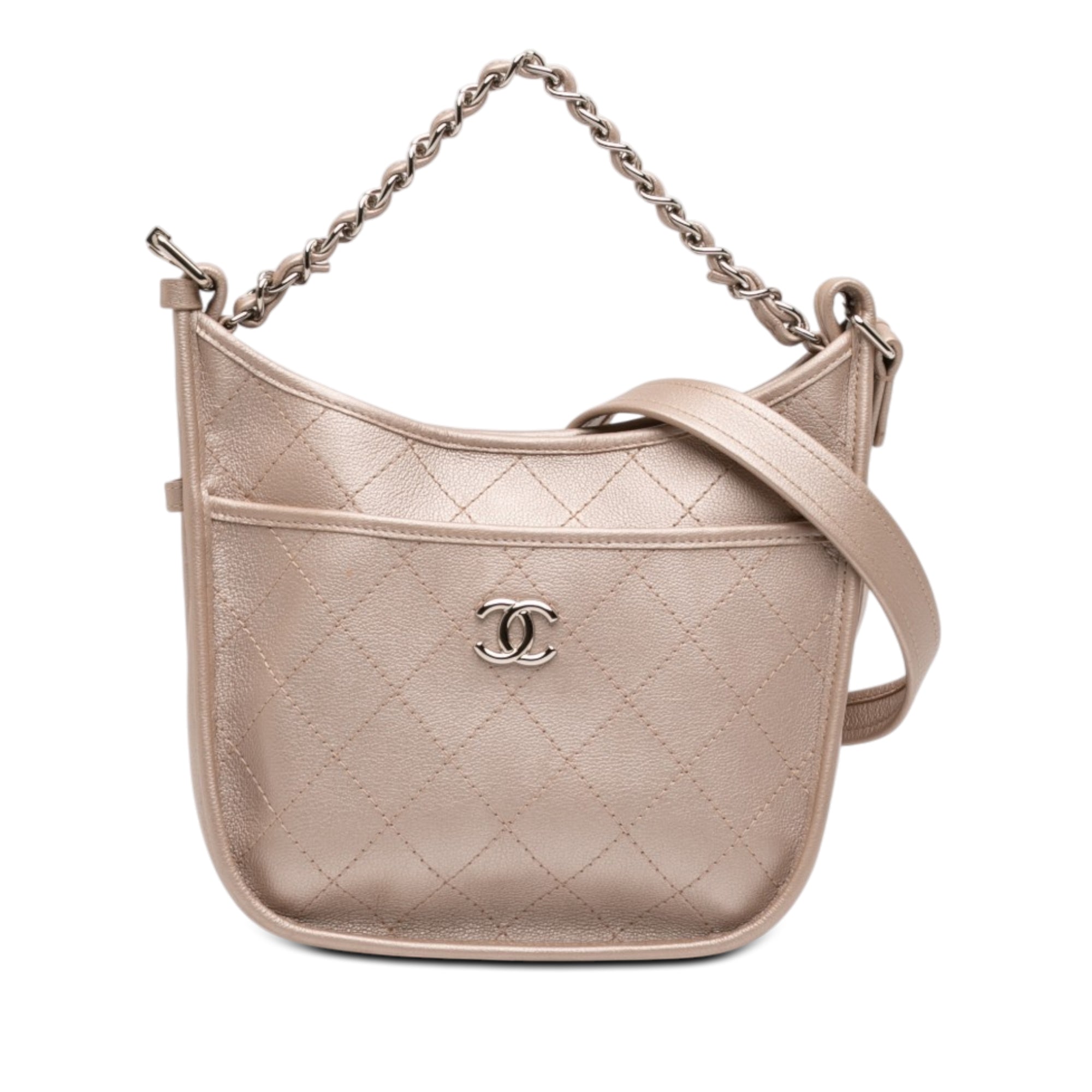Chanel Small Quilted Metallic Calfskin Jungle Stroll Hobo - image 1
