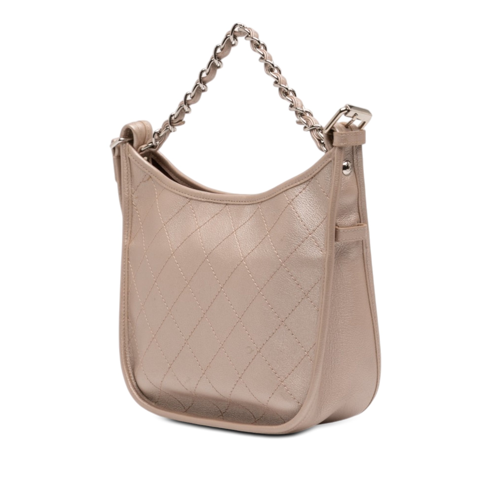 Chanel Small Quilted Metallic Calfskin Jungle Stroll Hobo - image 2