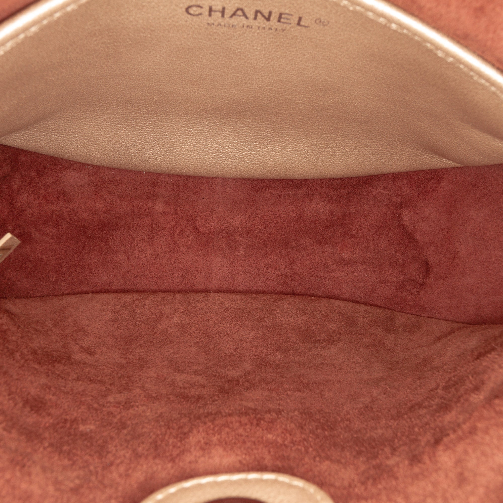 Chanel Small Quilted Metallic Calfskin Jungle Stroll Hobo - image 4