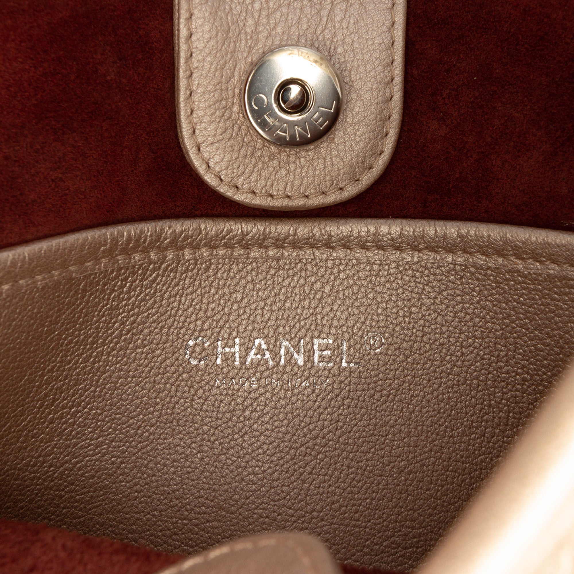 Chanel Small Quilted Metallic Calfskin Jungle Stroll Hobo - image 5