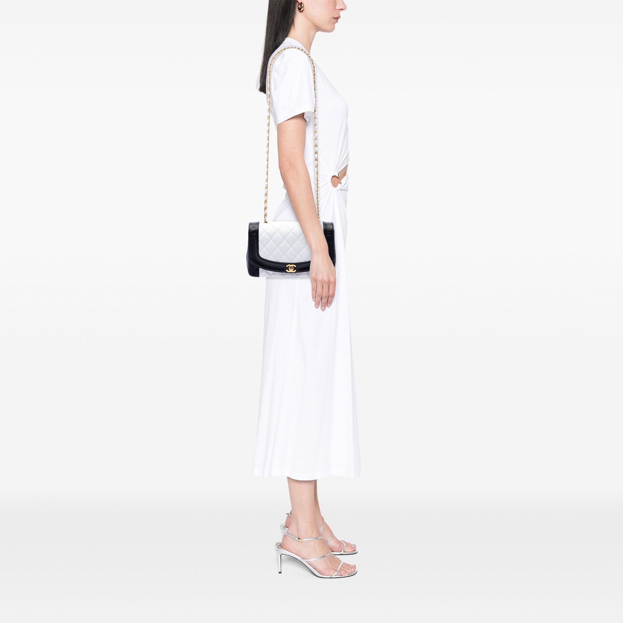 Chanel Medium Bicolor Lambskin Diana Flap - image 6