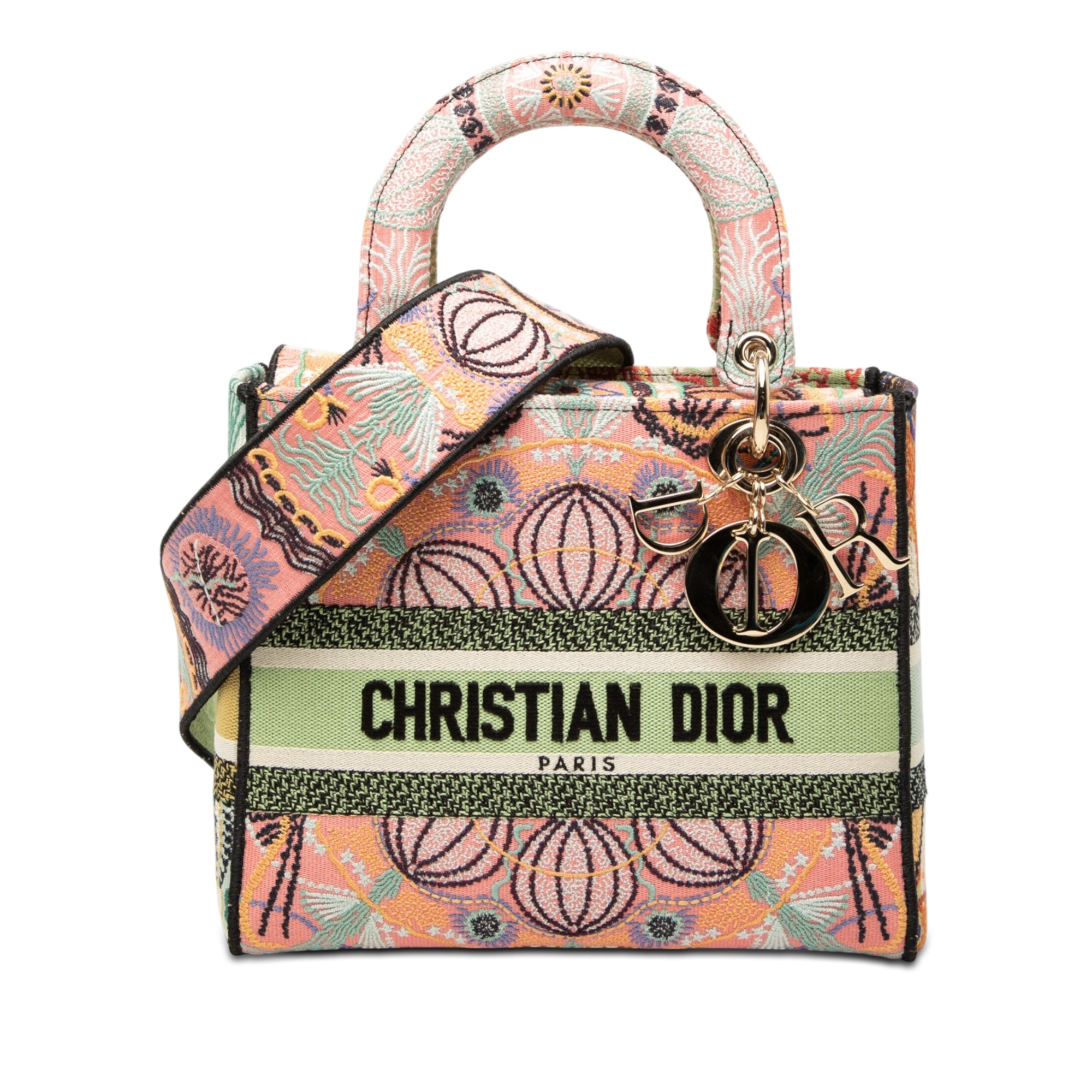 Dior Medium Embroidered Canvas In Lights Lady D Lite - image 1