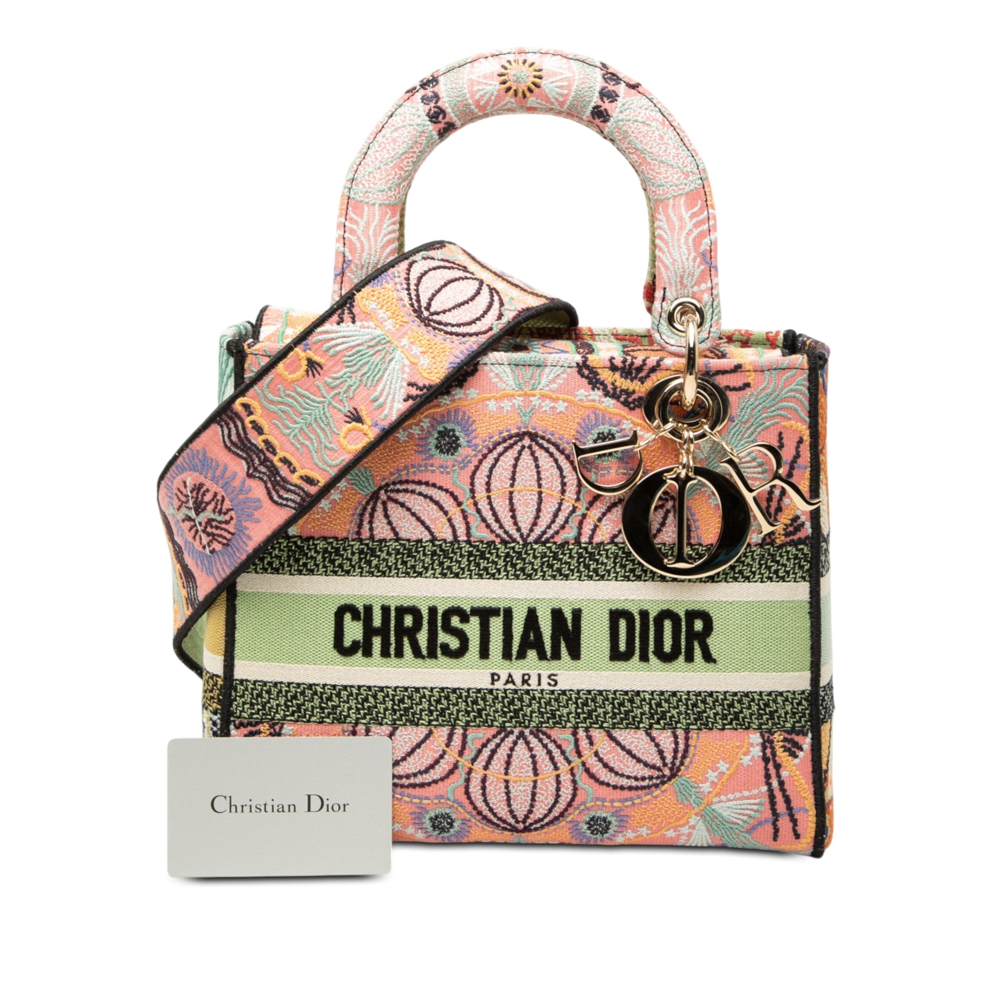Dior Medium Embroidered Canvas In Lights Lady D Lite - image 8