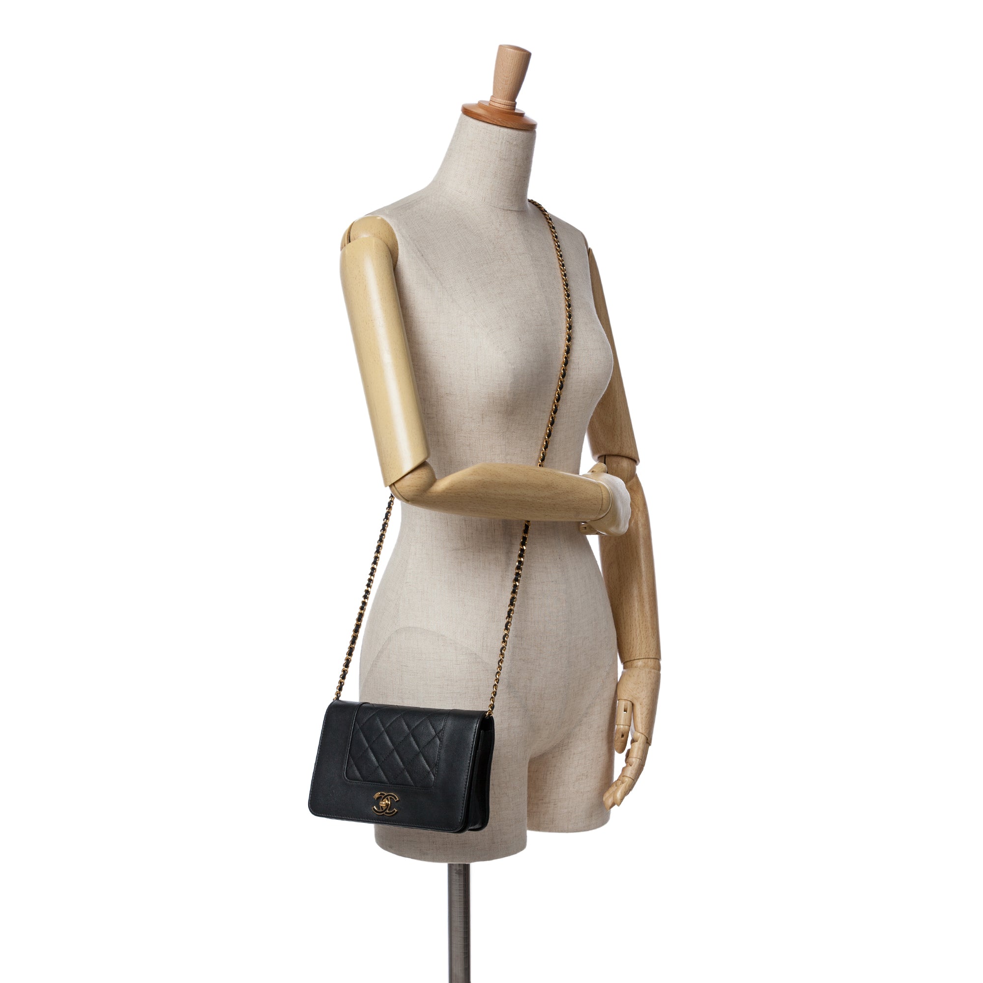 Chanel Quilted Lambskin Mademoiselle Wallet on Chain - image 11