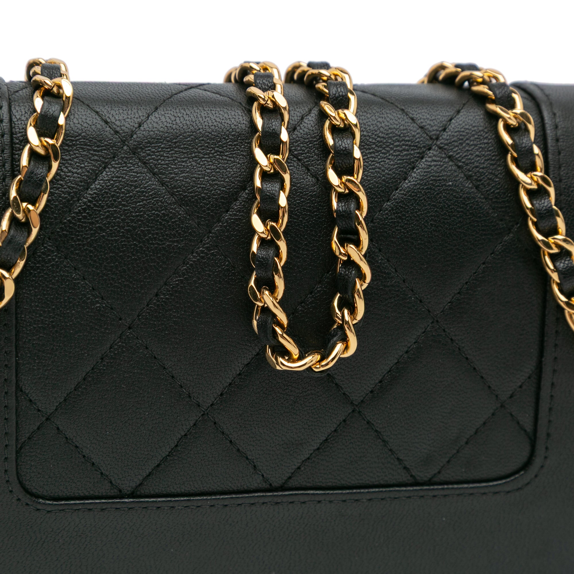 Chanel Quilted Lambskin Mademoiselle Wallet on Chain - image 8