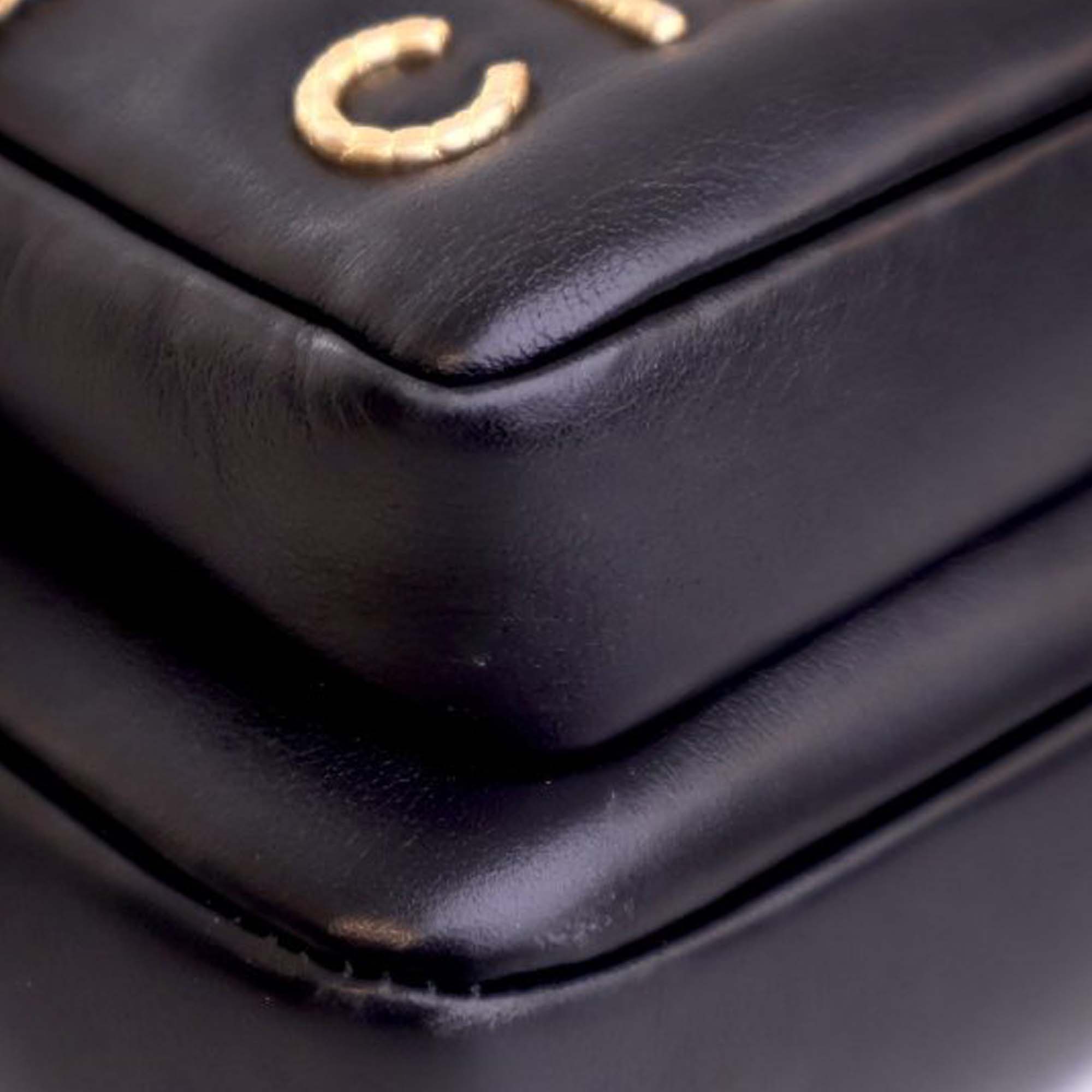 Chanel Small Quilted Calfskin Camera Case - image 6