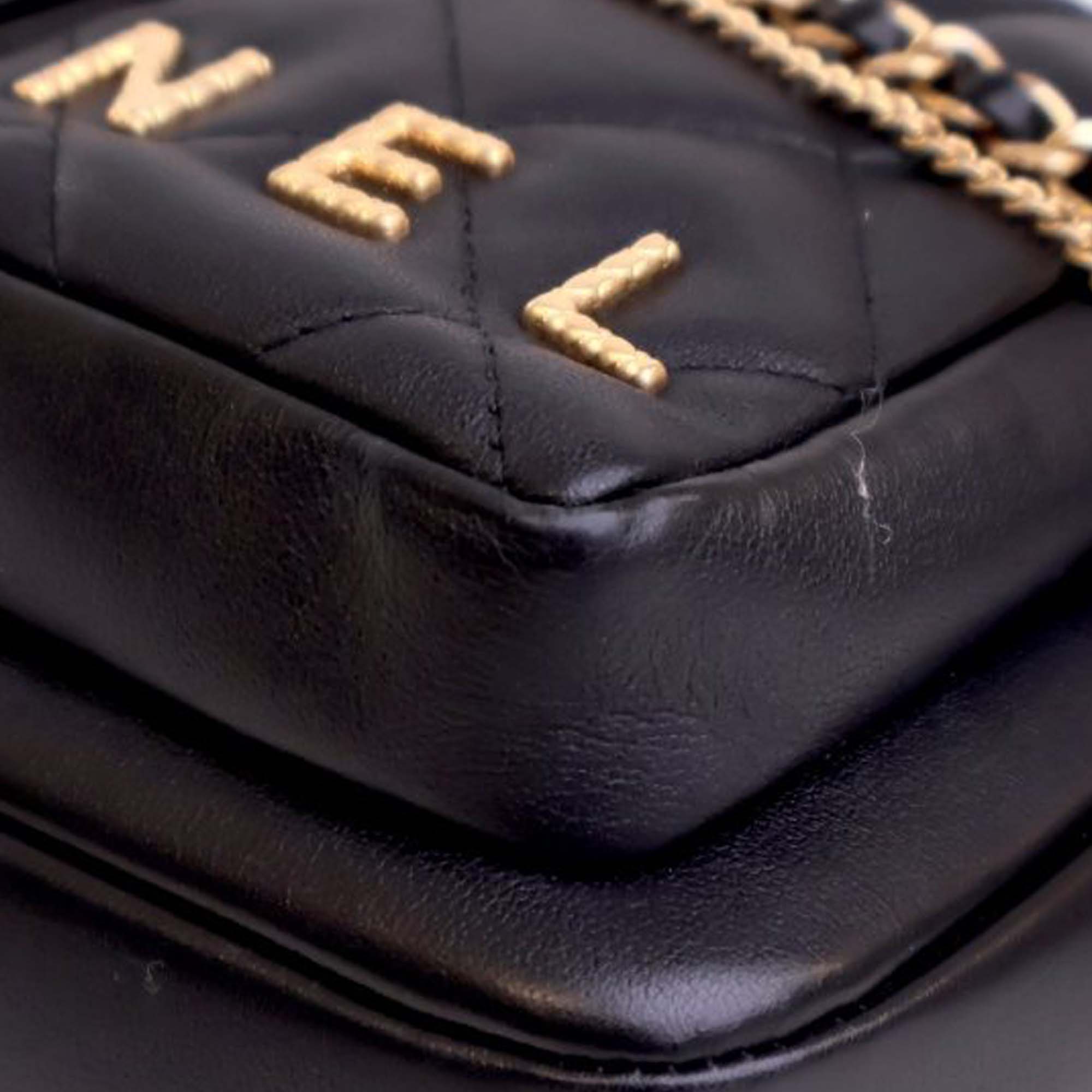Chanel Small Quilted Calfskin Camera Case - image 7