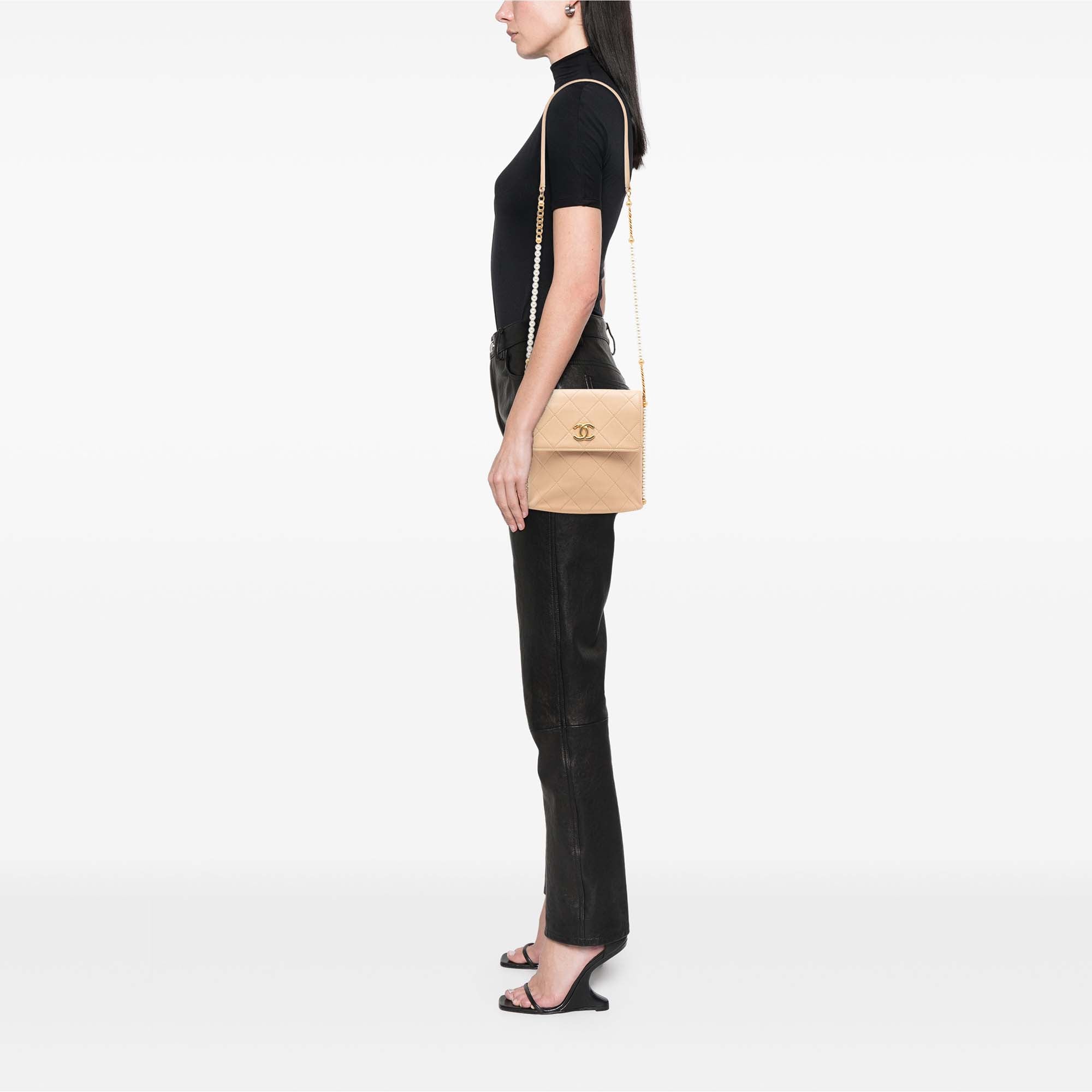 Chanel Small Quilted Calfskin About Pearls Hobo - image 7