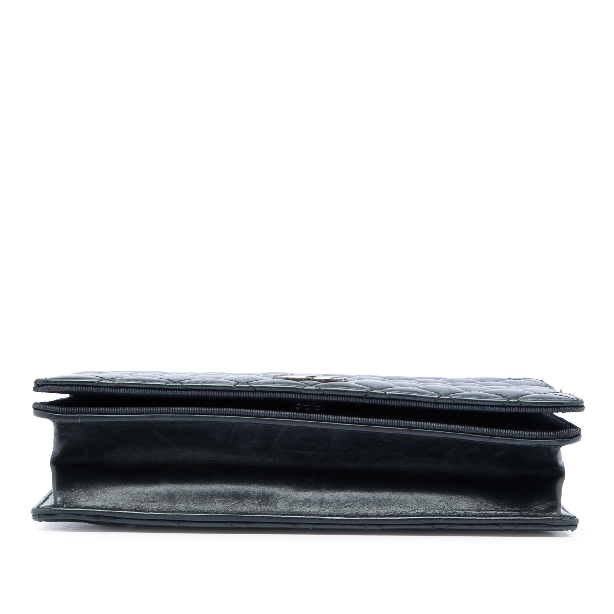 Chanel Small Quilted Calfskin Ballerine Flap - image 3