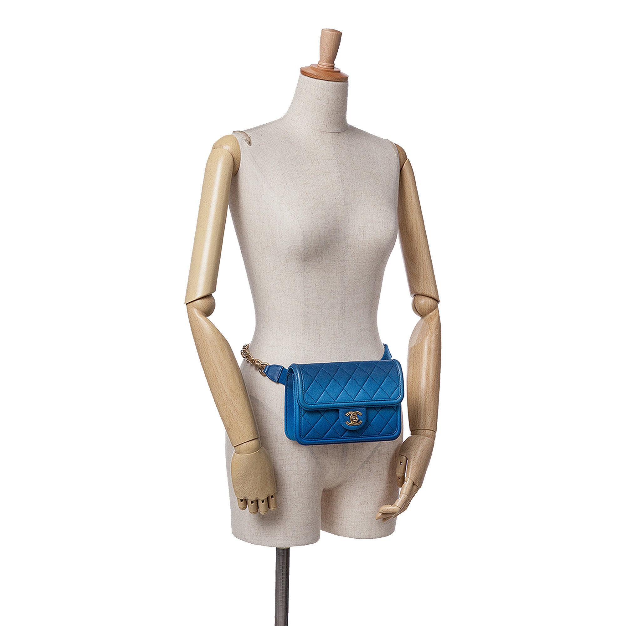 Chanel Quilted Caviar Sunset On The Sea Flap Belt Bag - image 11